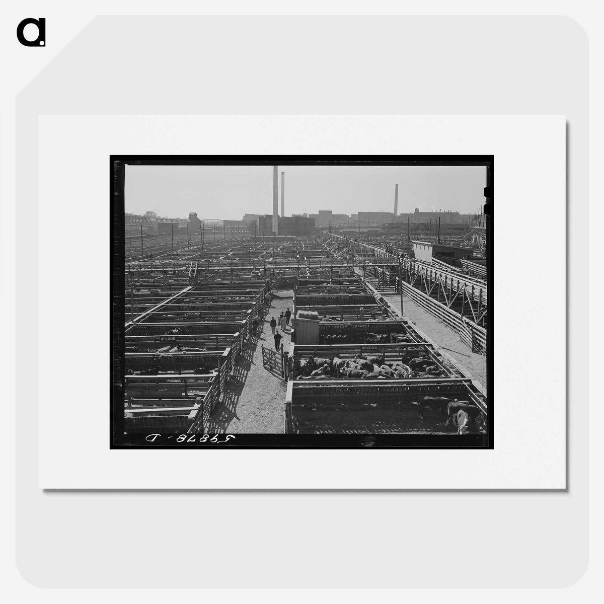 3-7_Marion-Post-Wolcott_picture