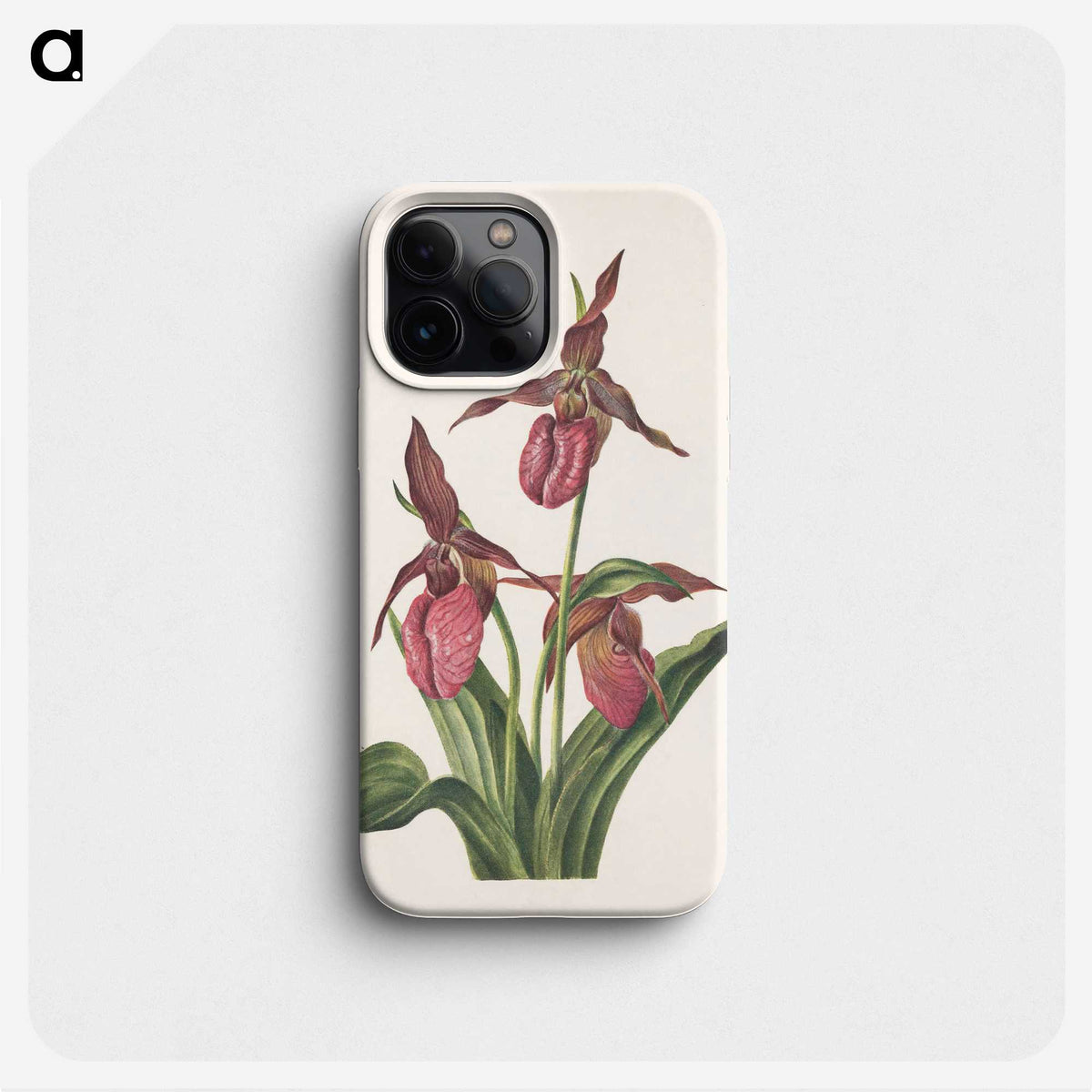 3-7_Mary-Vaux-Walcott_phone