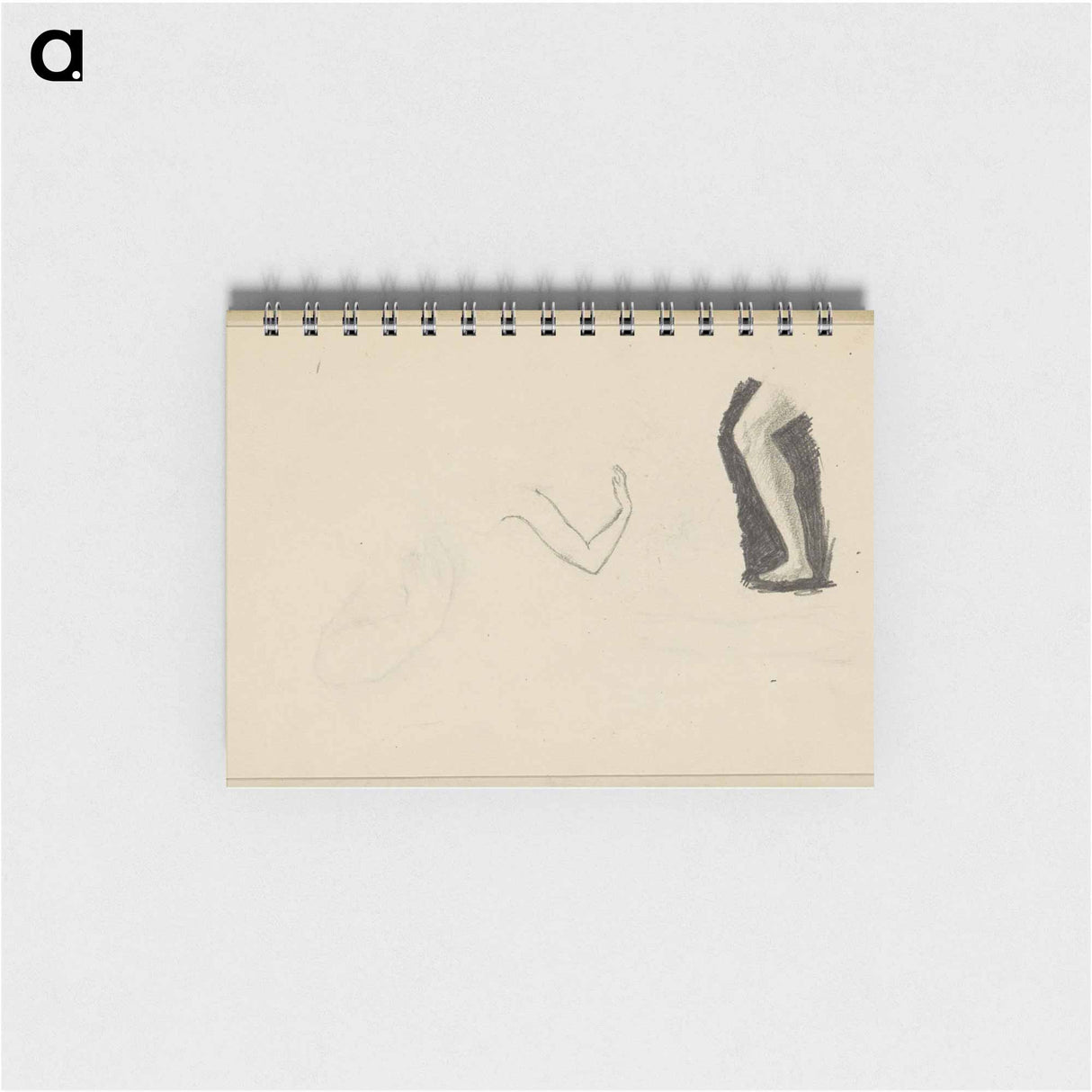 Onderbeen en bovenarm - ユリー デ フラーハ Memo.