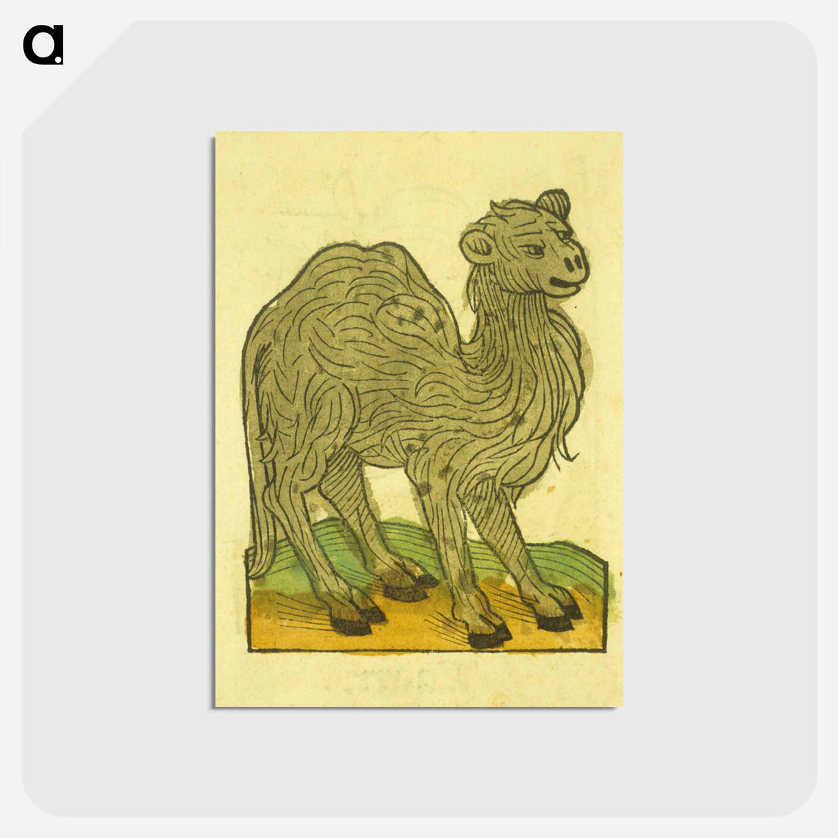 アートポストカード-Animal Woodcut
- 国立医学図書館 Postcard.