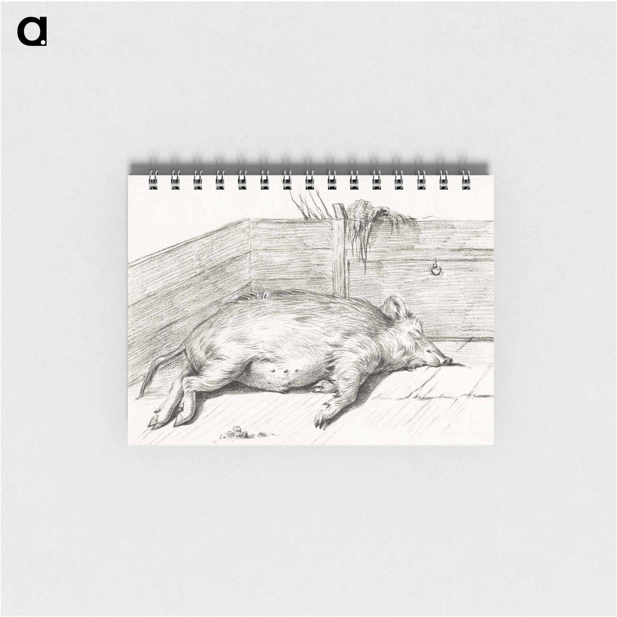 Lying pig, in the corner of a loft - ジャン ベルナール Memo.