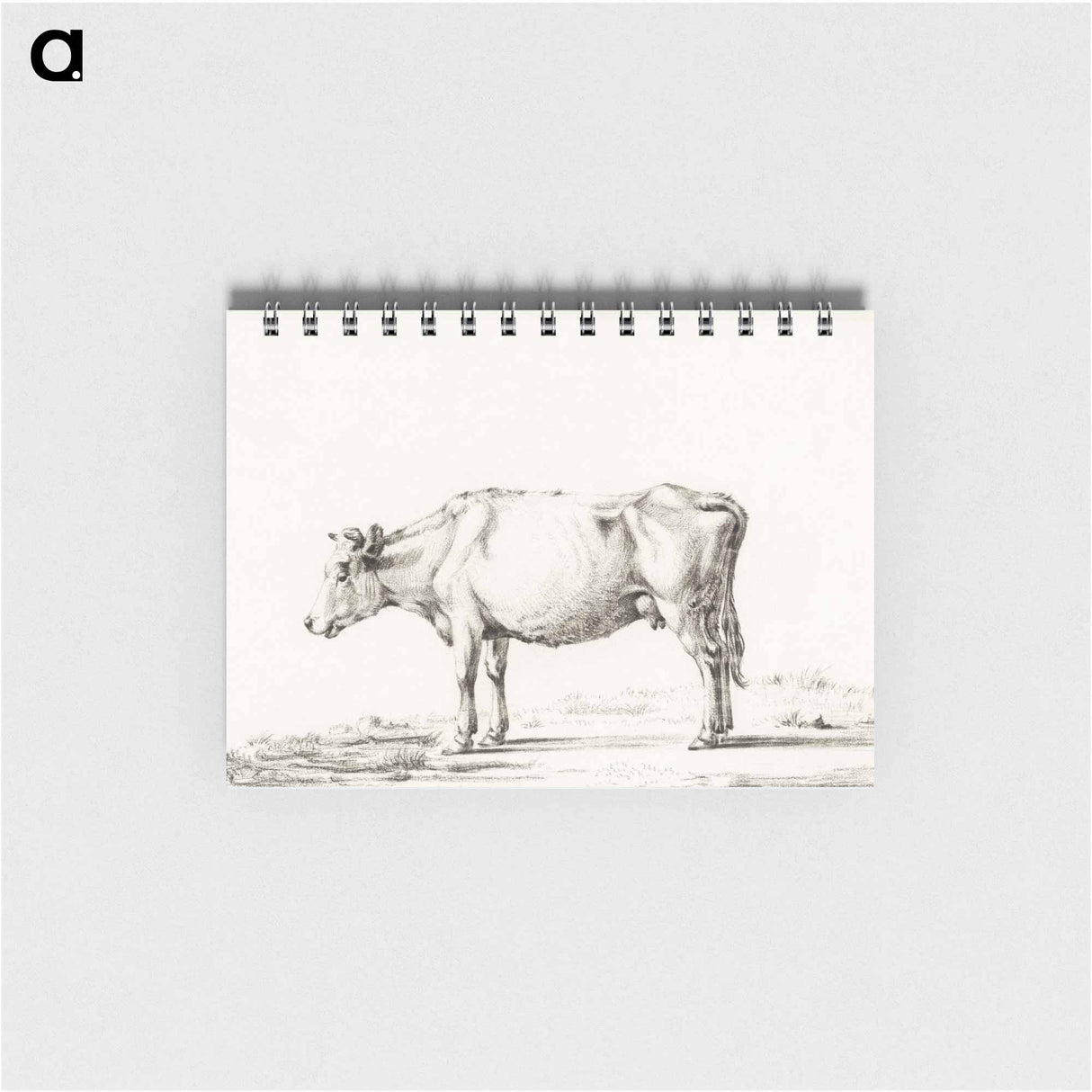 Standing cow - ジャン ベルナール Memo.