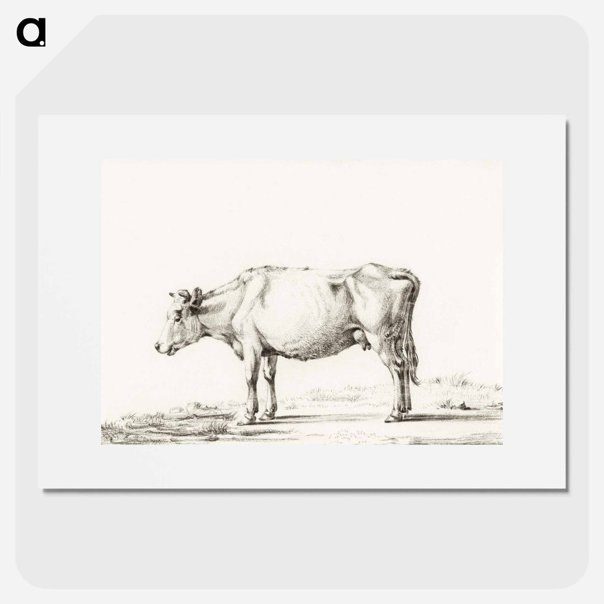 Standing cow - Jean Bernard Poster.