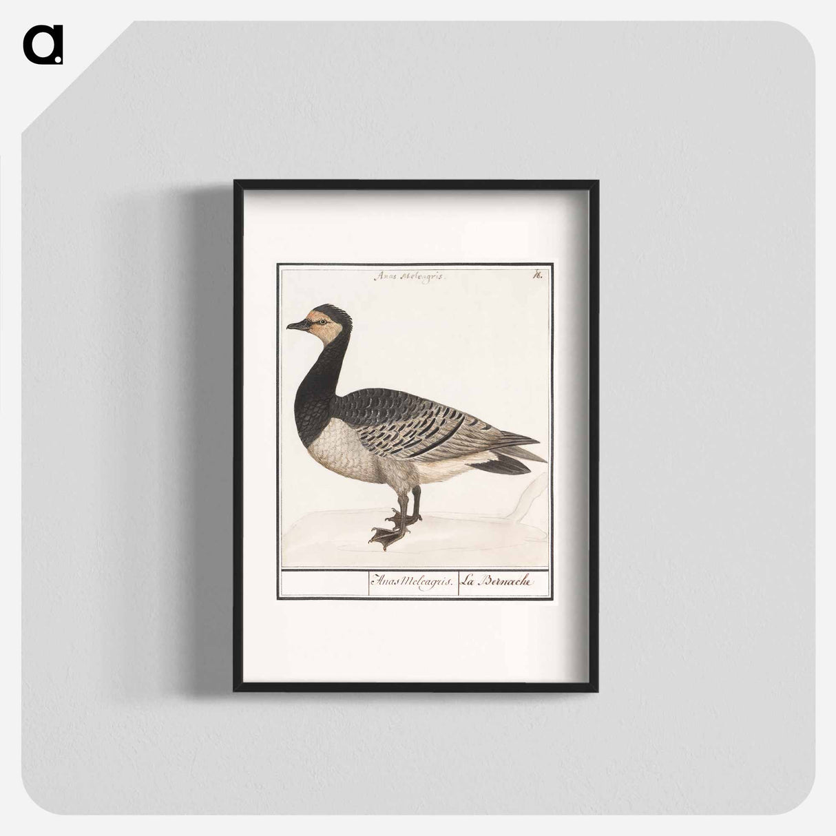 アートポスター-Barn Goose - アンセルムス ボエティウス デ ブート Poster.
