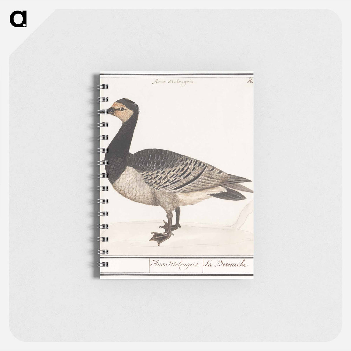 アートメモ帳-Barn Goose - アンセルムス ボエティウス デ ブート Memo.