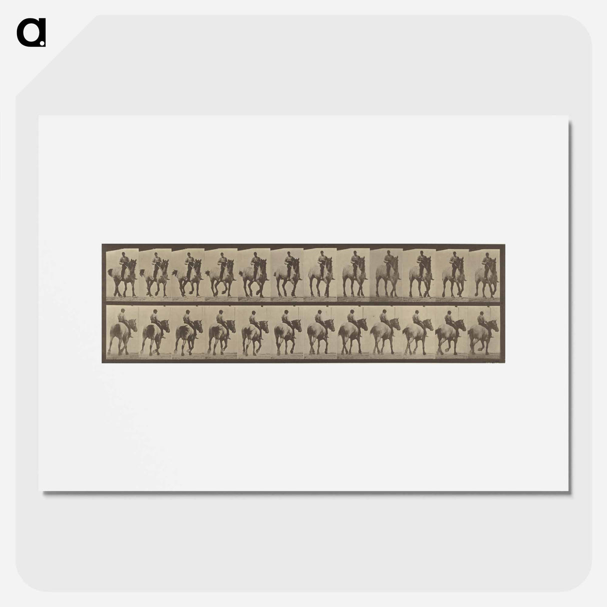 アートポスター-Animal Locomotion
- エドワード マイブリッジ Poster.