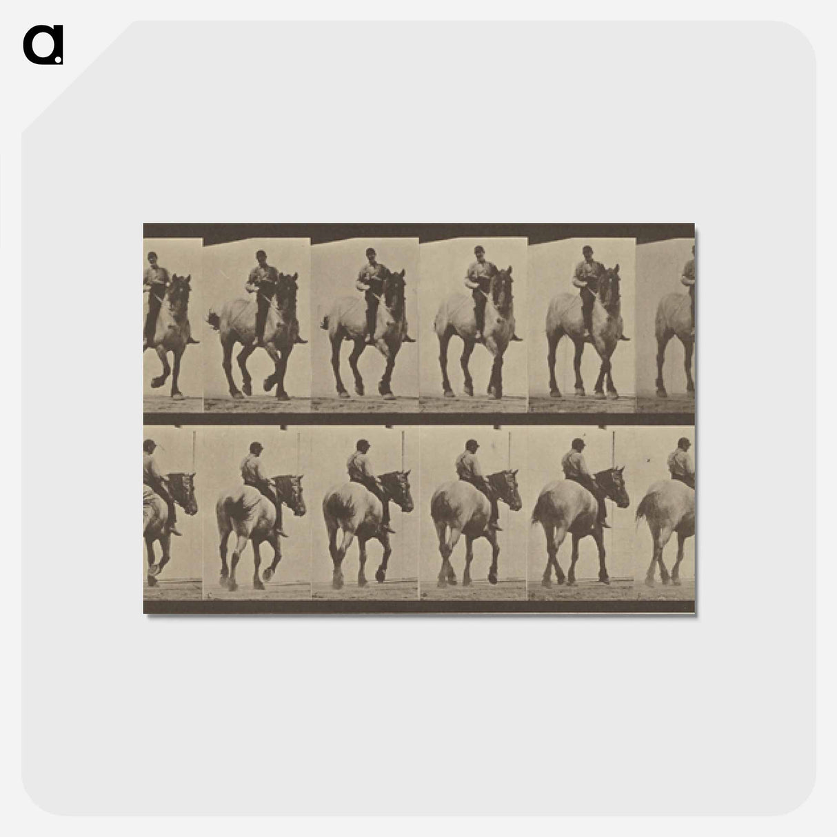 アートポストカード-Animal Locomotion
- エドワード マイブリッジ Postcard.