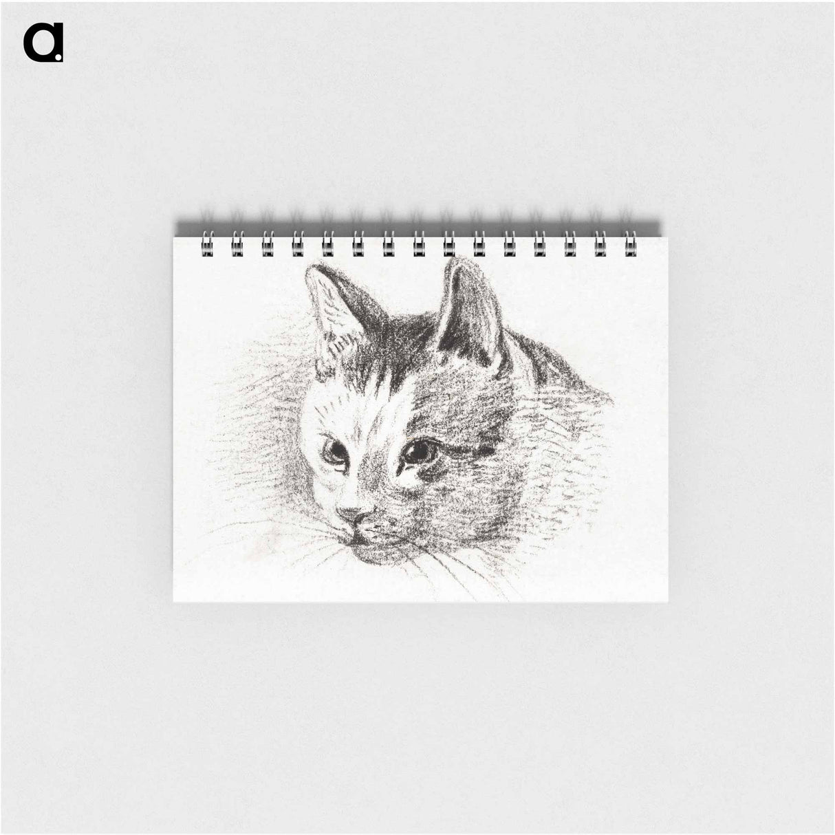 Sketch of a cat - ジャン ベルナール Memo.