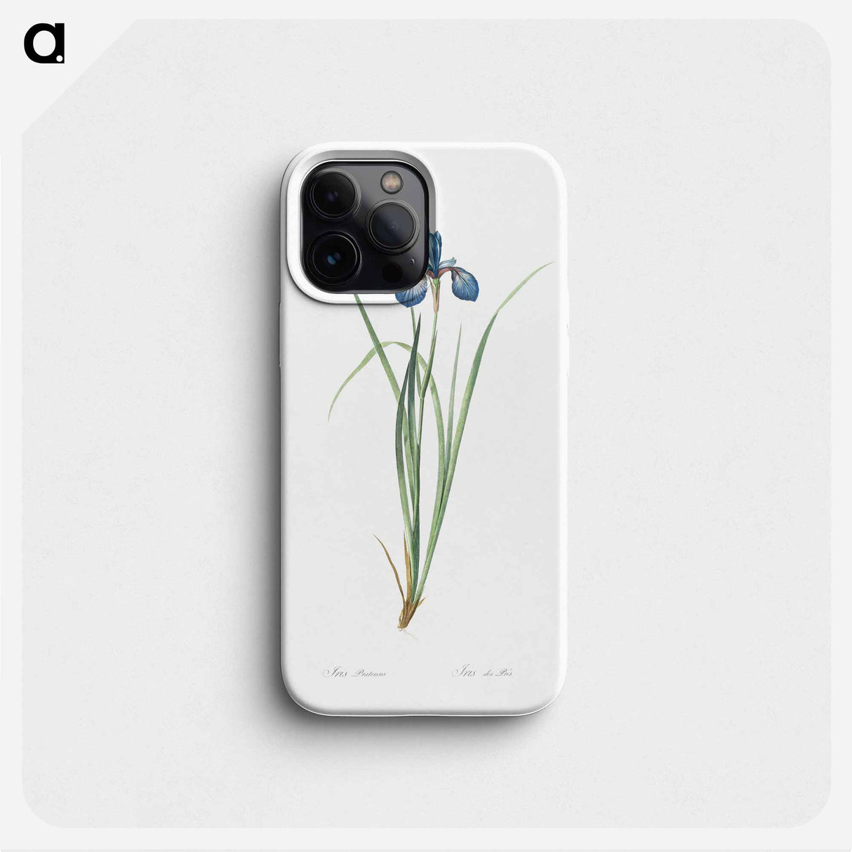 Iris pratensis illustration - Pierre Joseph Redouté Phone Case.