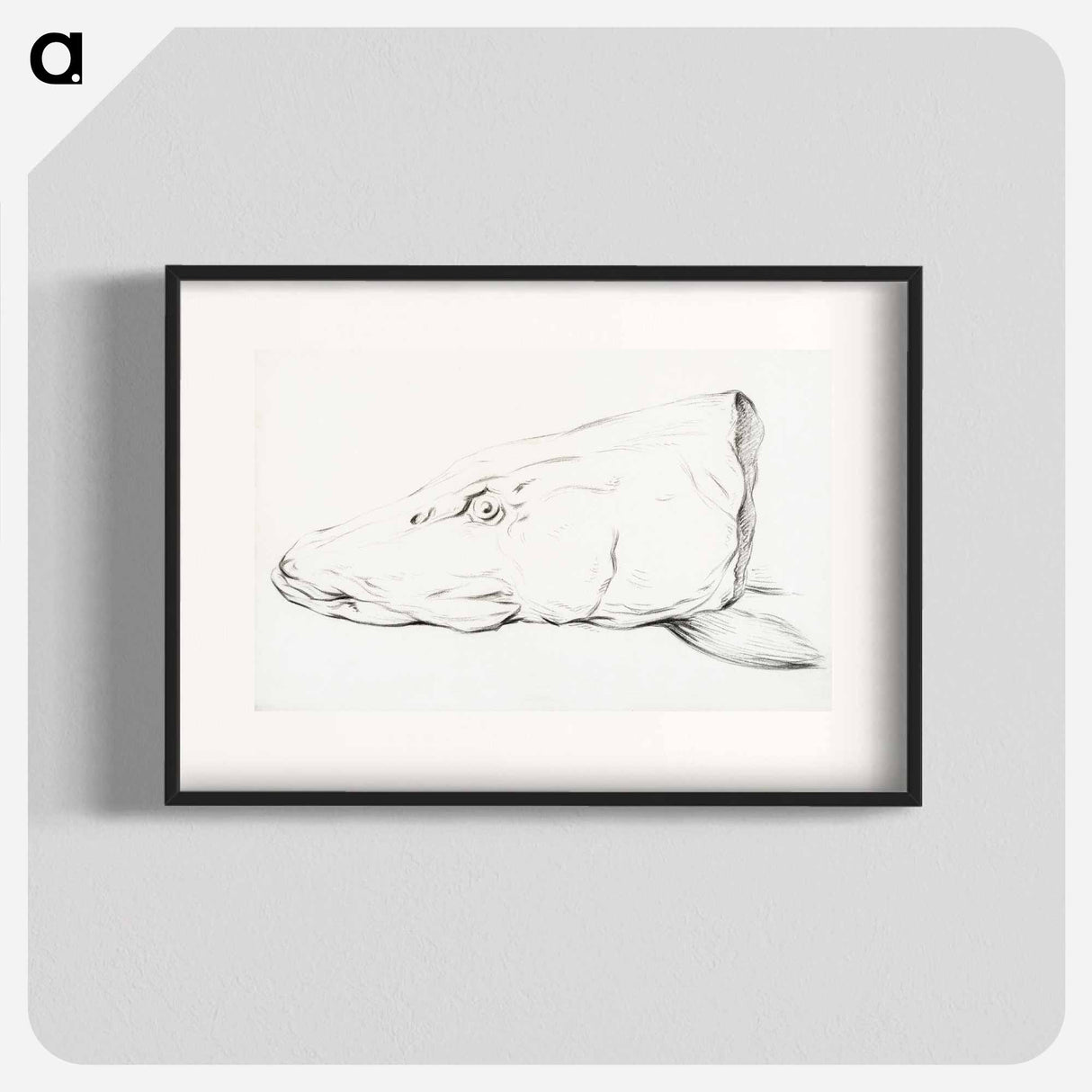 Head of a pike - Jean Bernard Poster.