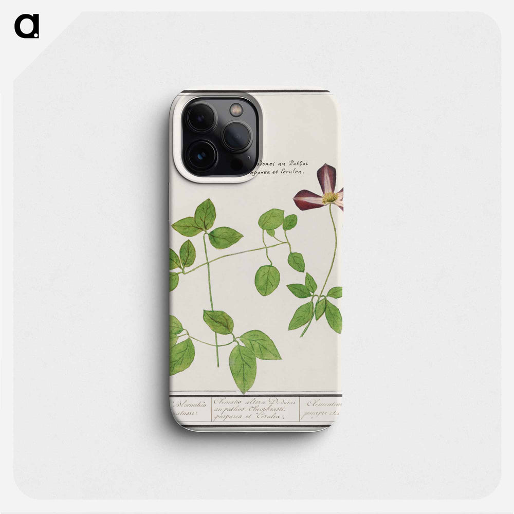Clematis - アンセルムス ボエティウス デ ブート Phone Case.