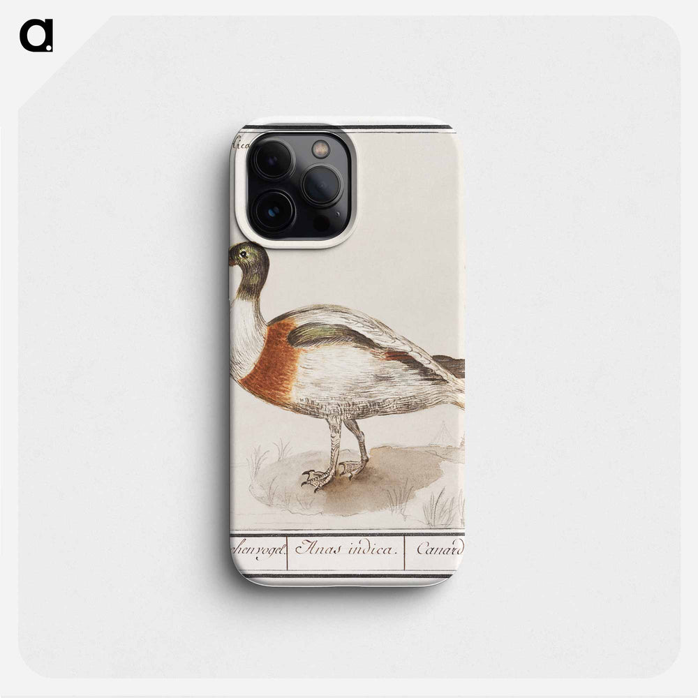 Indian runner duck - アンセルムス ボエティウス デ ブート Phone Case.