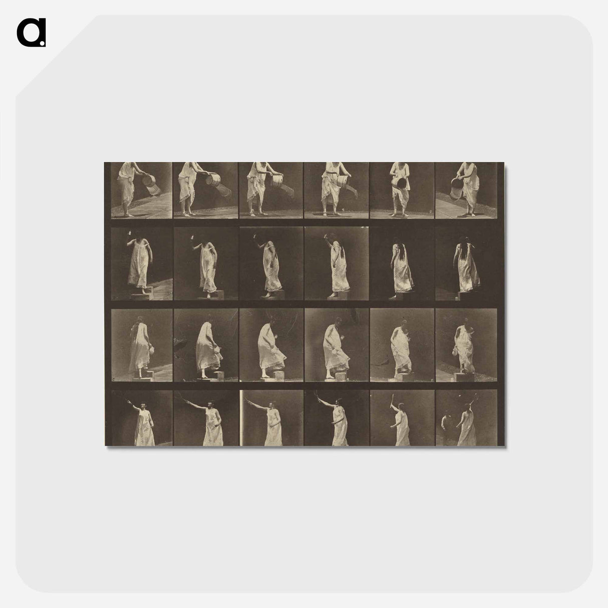 アートポストカード-Animal Locomotion
- エドワード マイブリッジ Postcard.