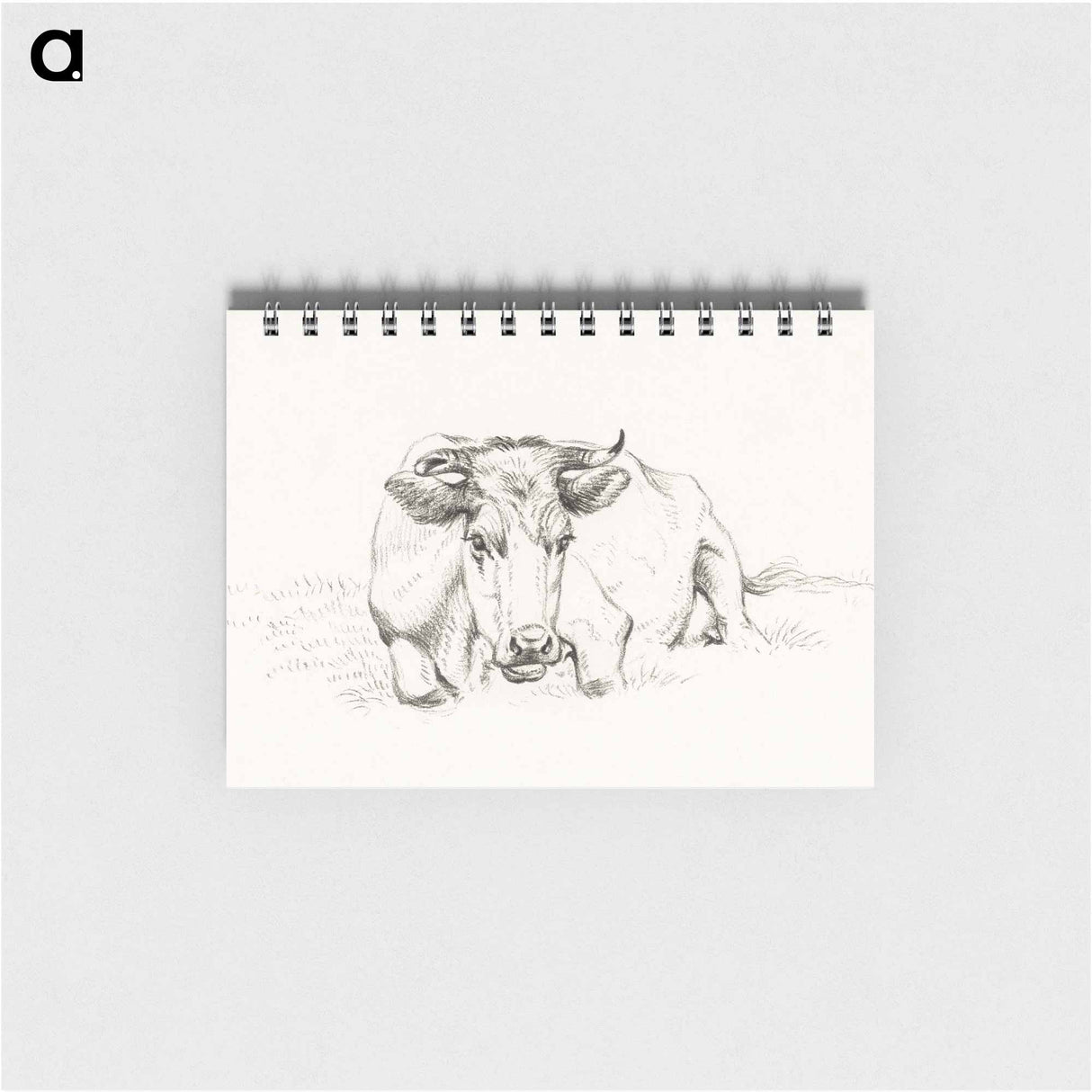 Lying cow - ジャン ベルナール Memo.