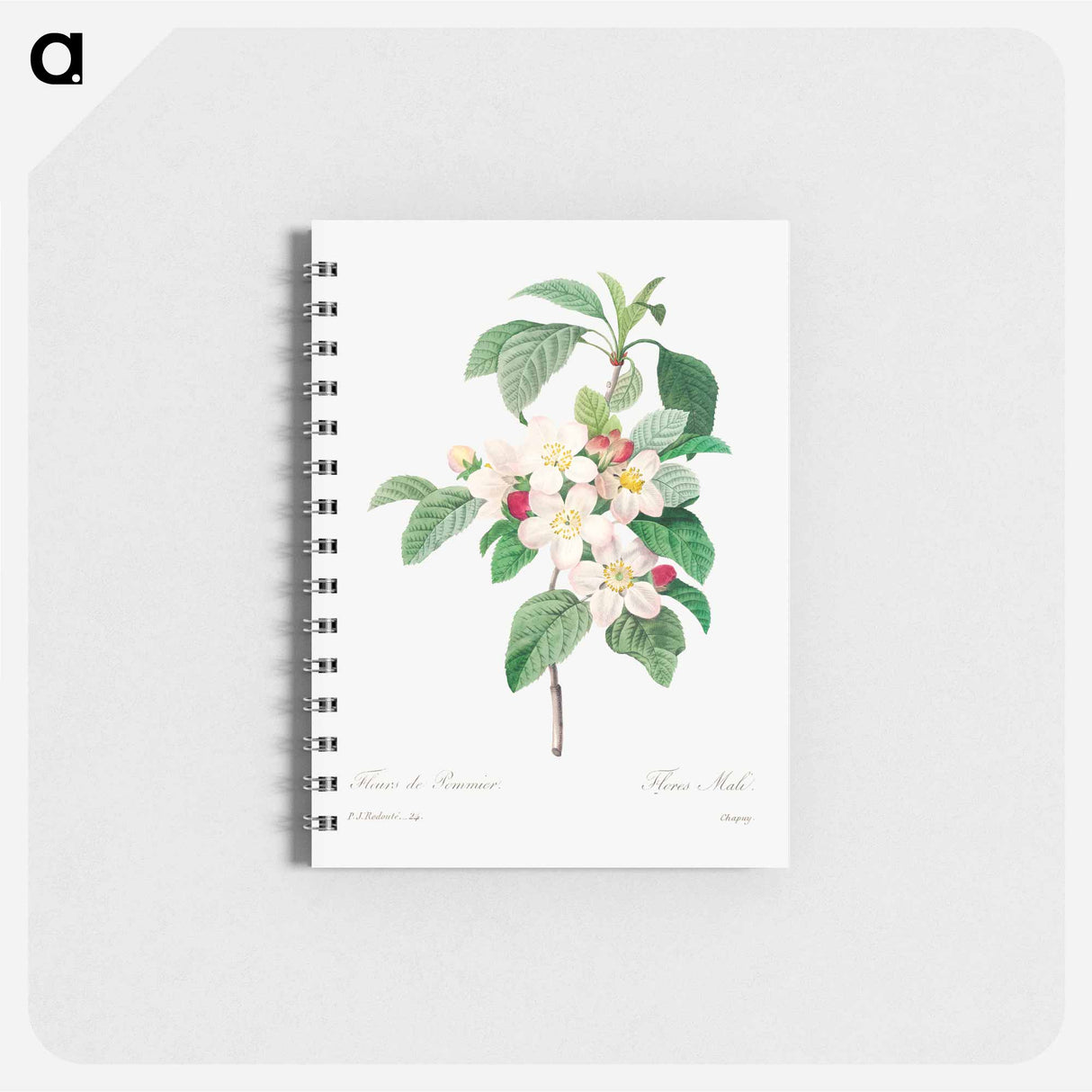 アートメモ帳-Antique plant - ピエール ジョゼフ ルドゥーテ Memo.