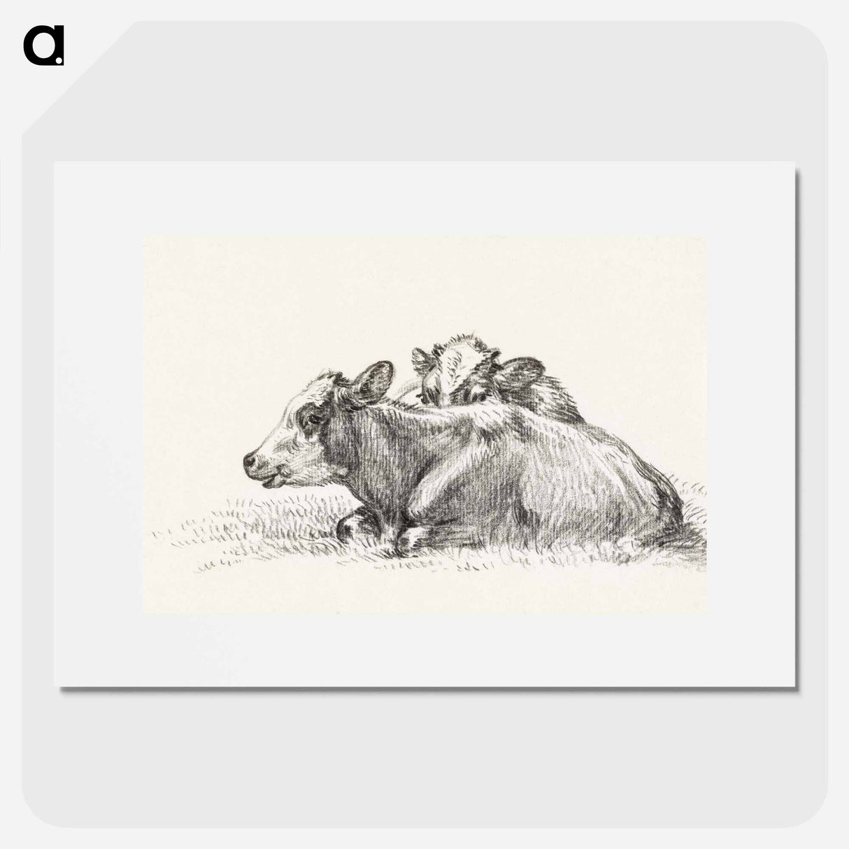 Two lying cows - ジャン ベルナール Poster.