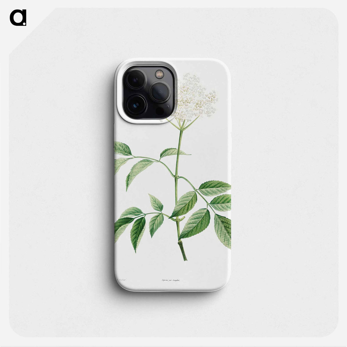 Elderflowers - ピエール ジョゼフ ルドゥーテ Phone Case.