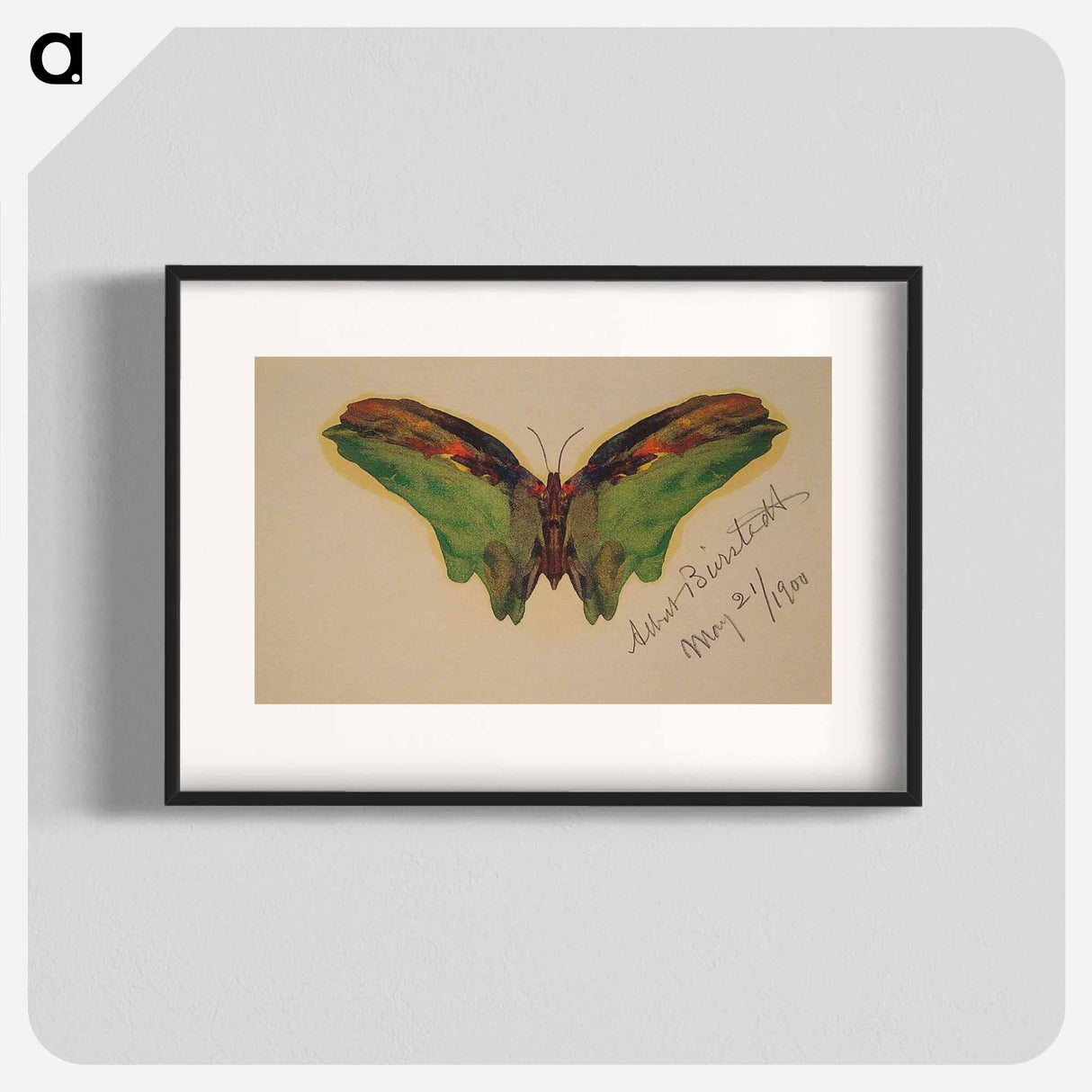 アートポスター-Butterfly - アルバート ビアスタット Poster.