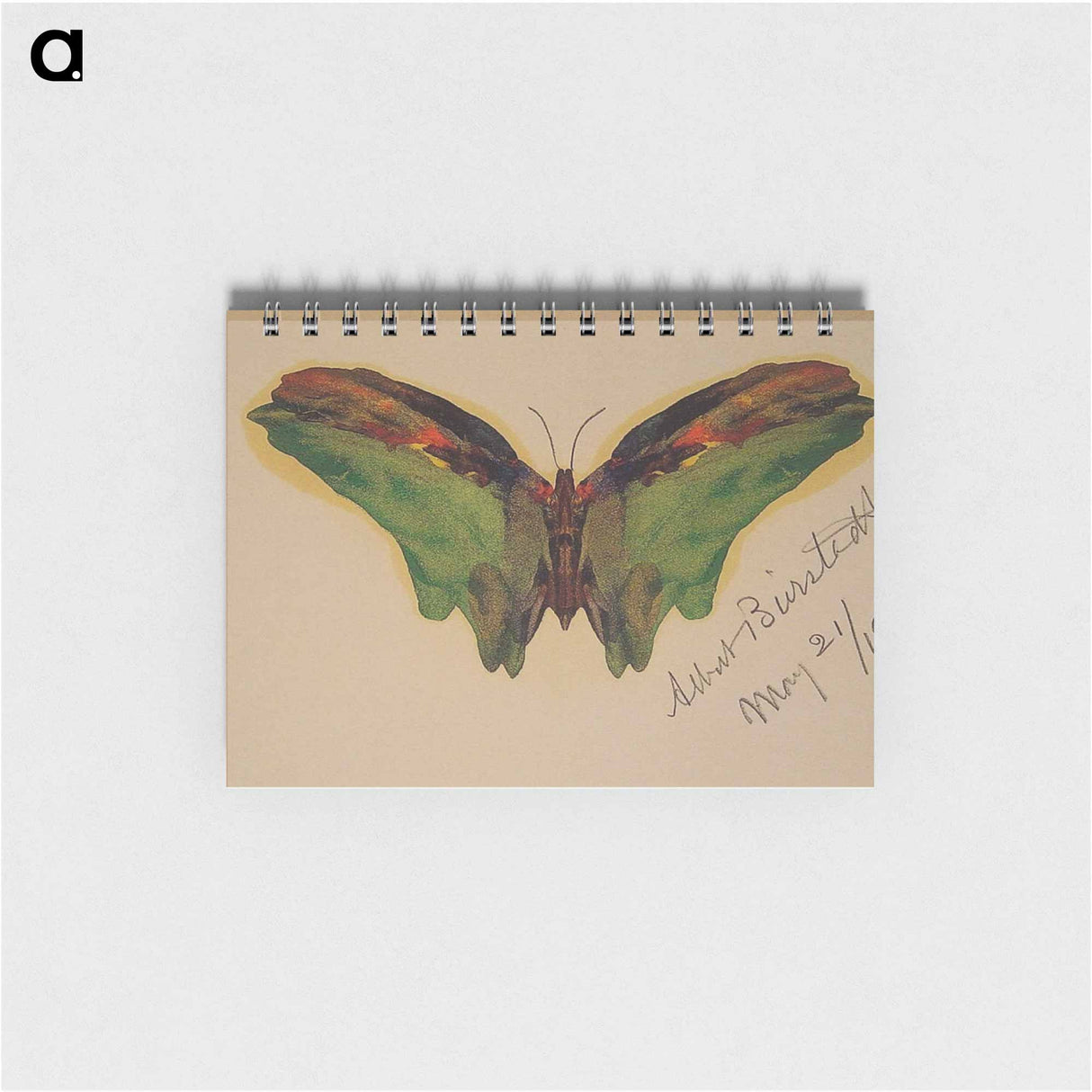 アートメモ帳-Butterfly - アルバート ビアスタット Memo.