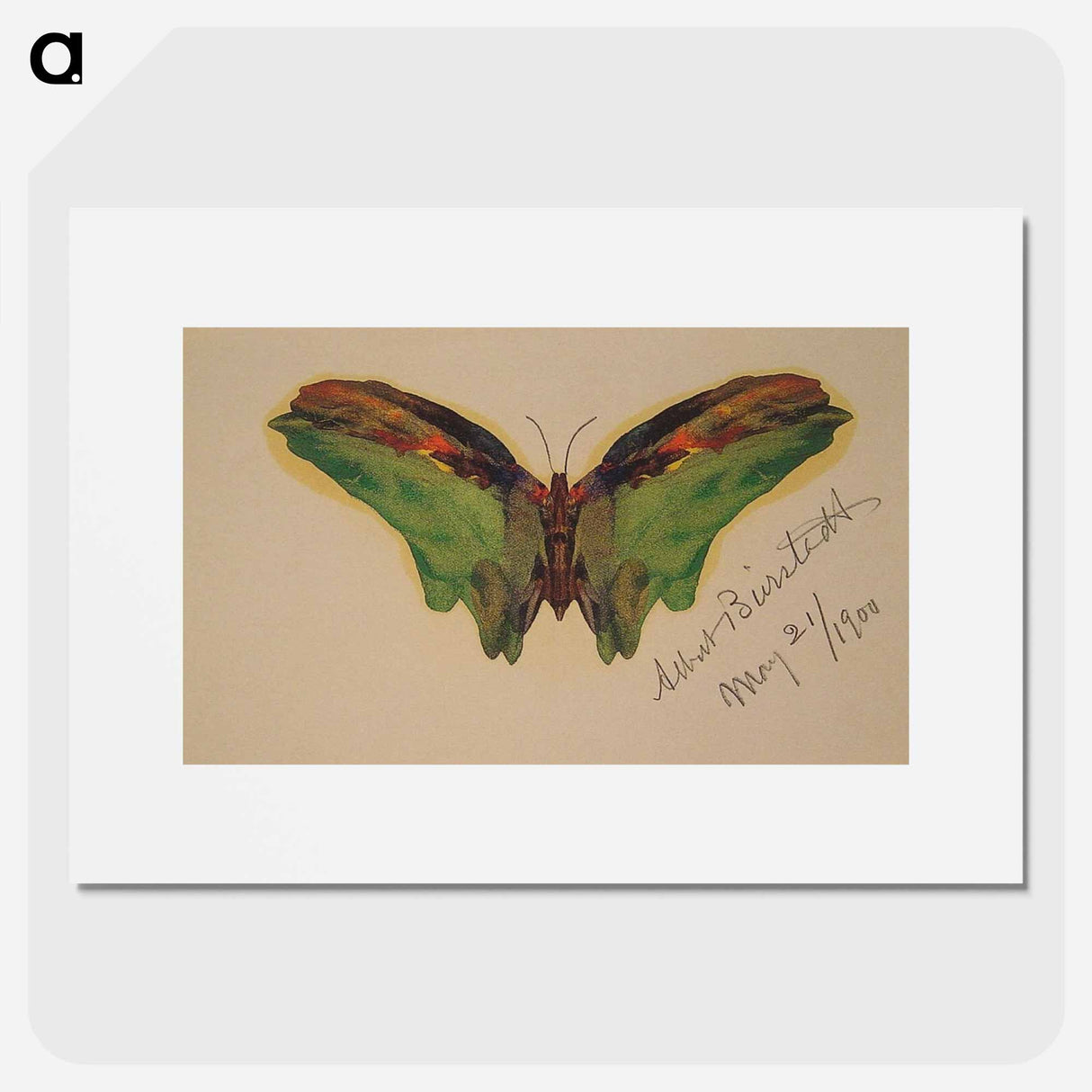 アートポスター-Butterfly - アルバート ビアスタット Poster.