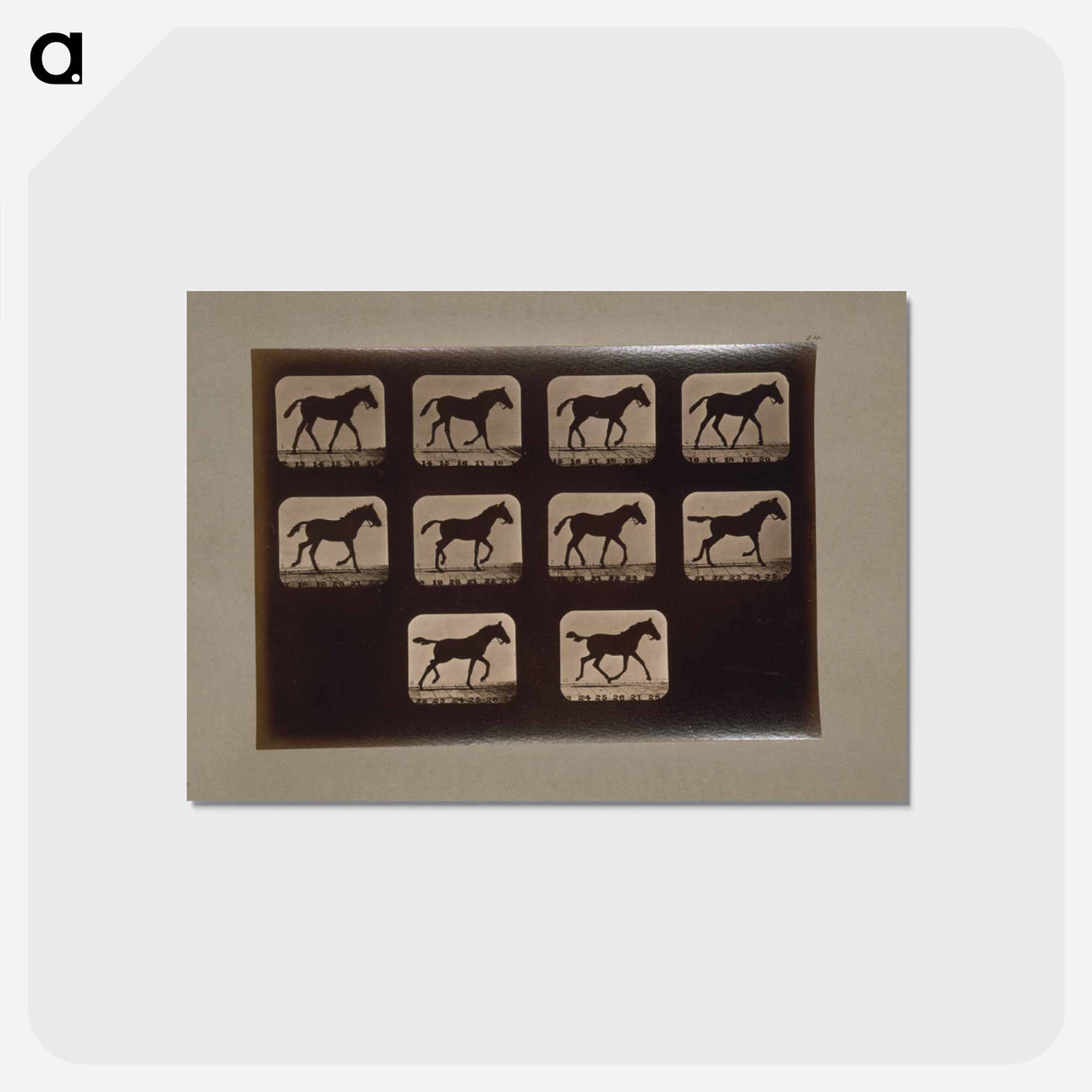 アートポストカード-Trotting Horses
- エドワード マイブリッジ Postcard.