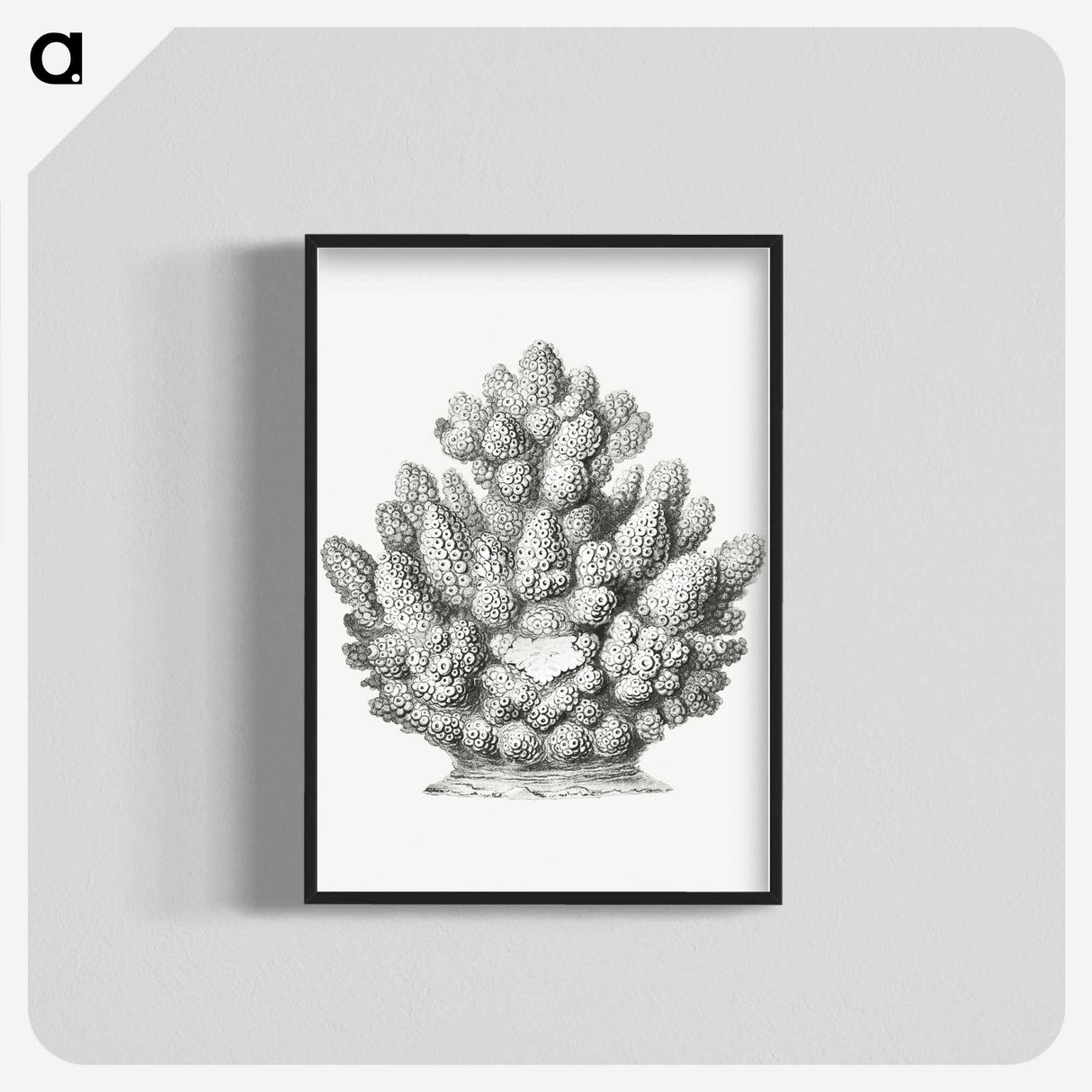3-8_Ernst-Haeckel_blk-crop