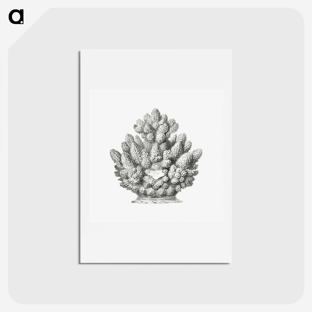 3-8_Ernst-Haeckel_hagaki