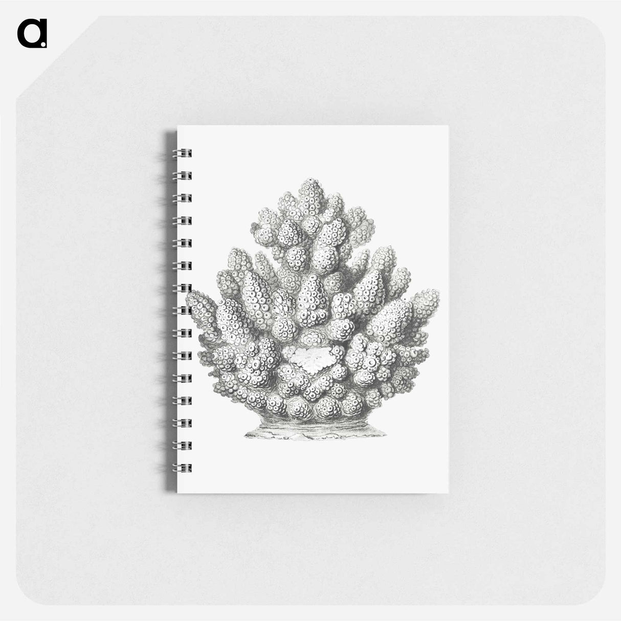 アートメモ帳-Vintage coral illustration on white background - エルンスト ヘッケル Memo.
