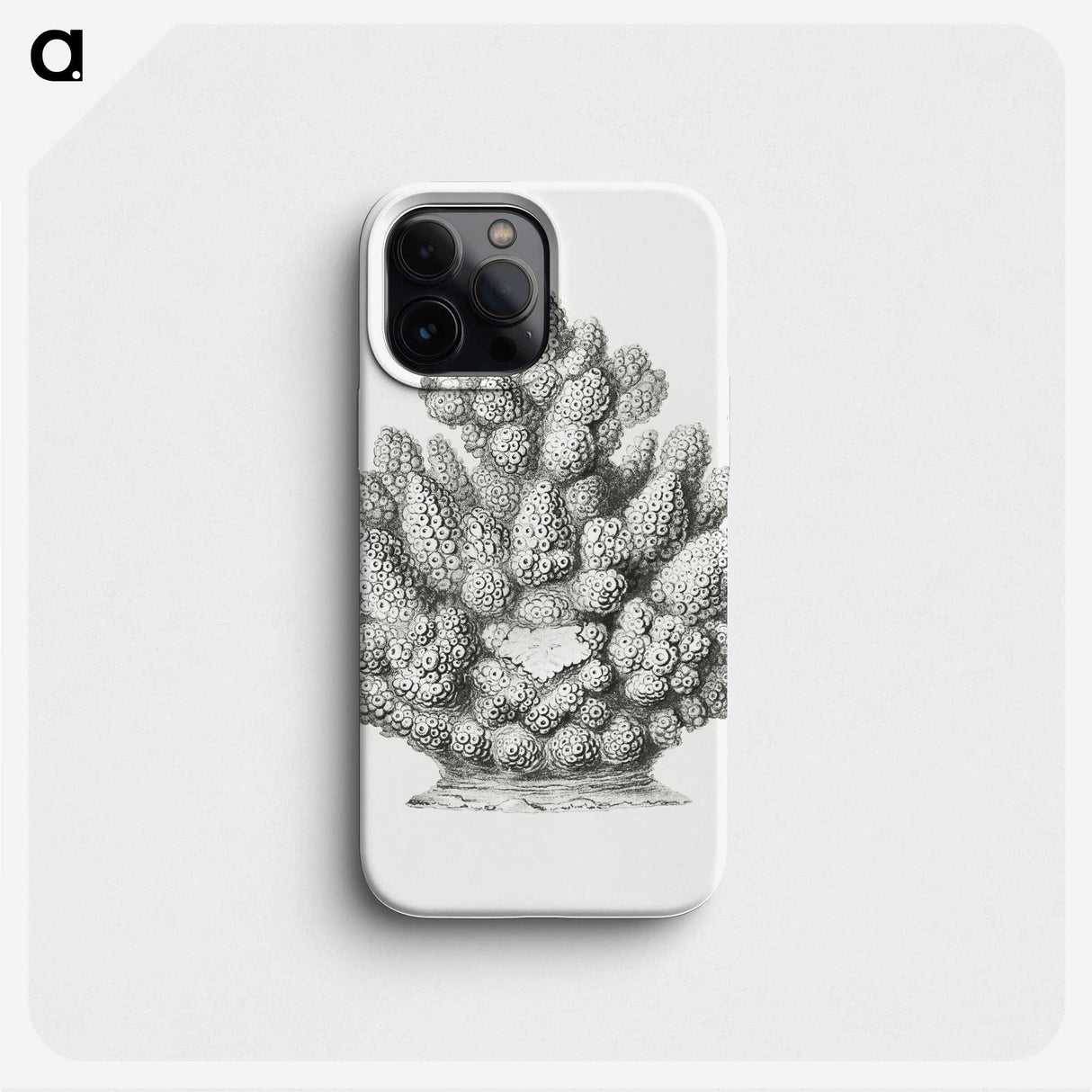 3-8_Ernst-Haeckel_phone