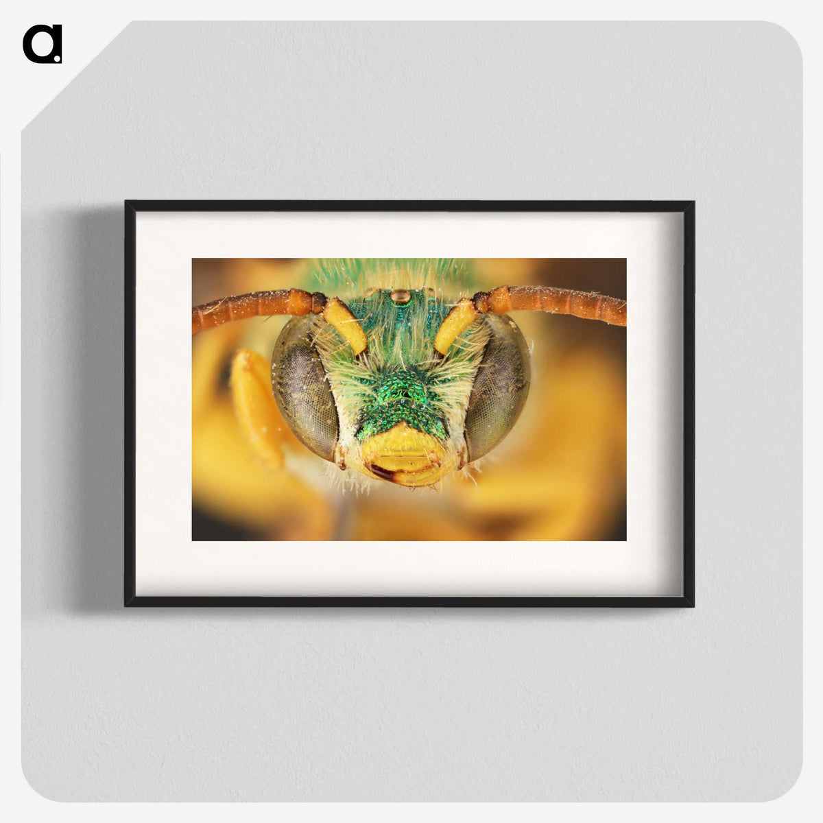 3-8_Insects-Unlocked-Project_blk