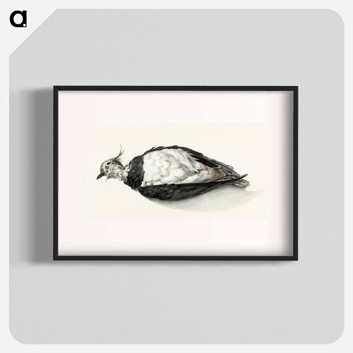 Dead lapwing - ジャン ベルナール Poster.