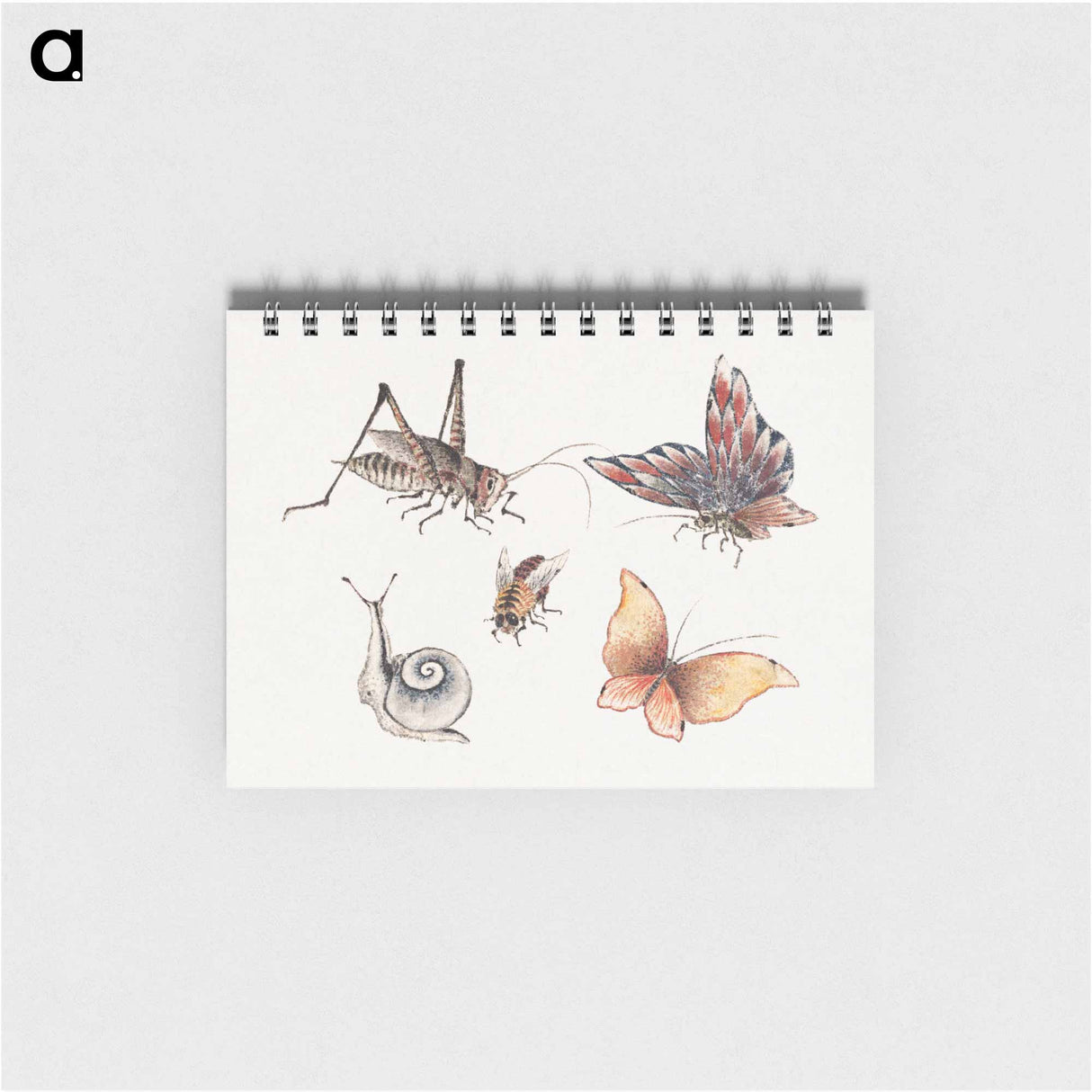 Katsushika Hokusai's insects - 葛飾 北斎 Memo.