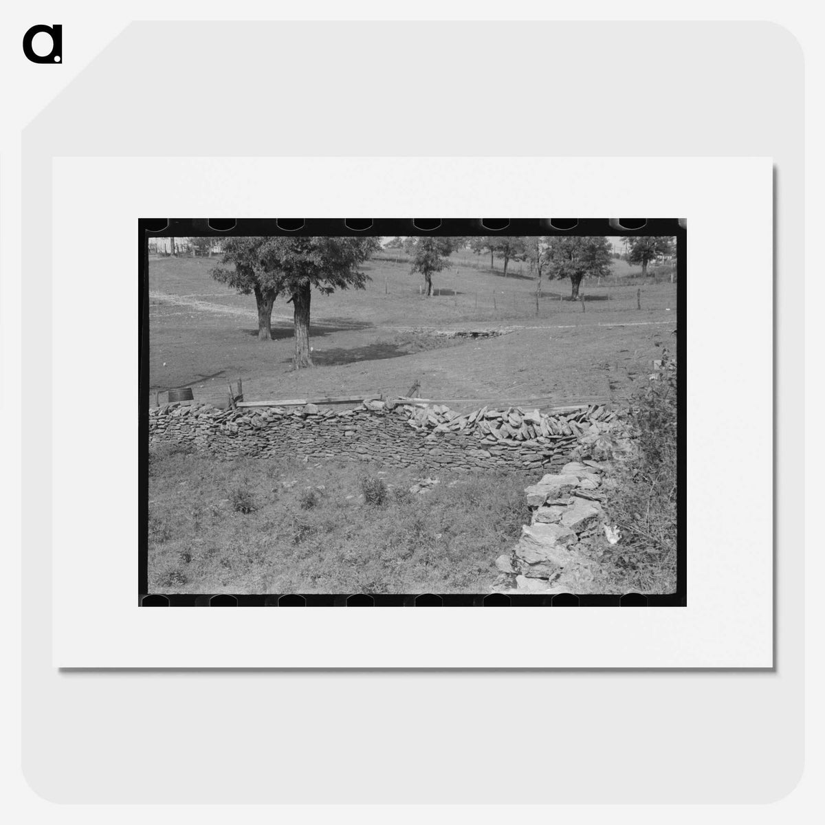 3-8_Marion-Post-Wolcott_picture