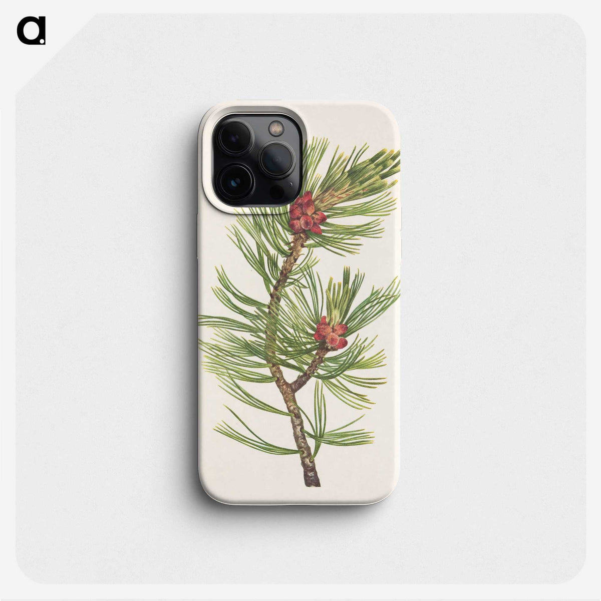 3-8_Mary-Vaux-Walcott_phone