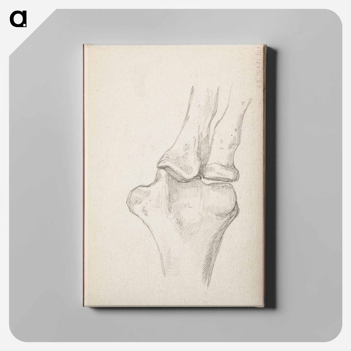 (unknown) part of a sketchbook - アルバート エーデルフェルト Canvas.