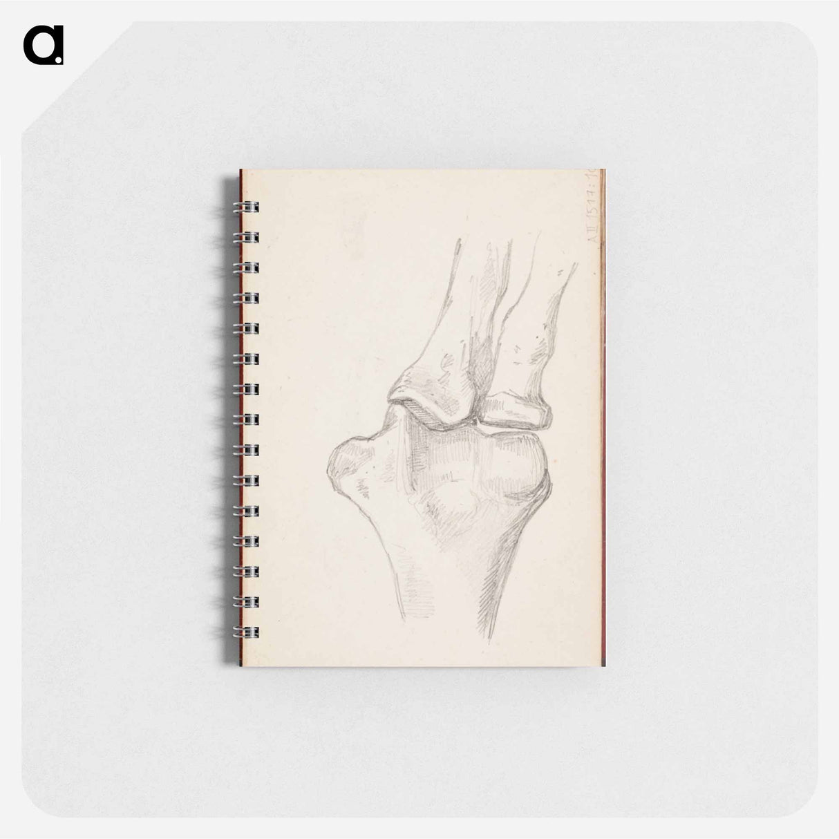 アートメモ帳-(unknown) part of a sketchbook - アルバート エーデルフェルト Memo.