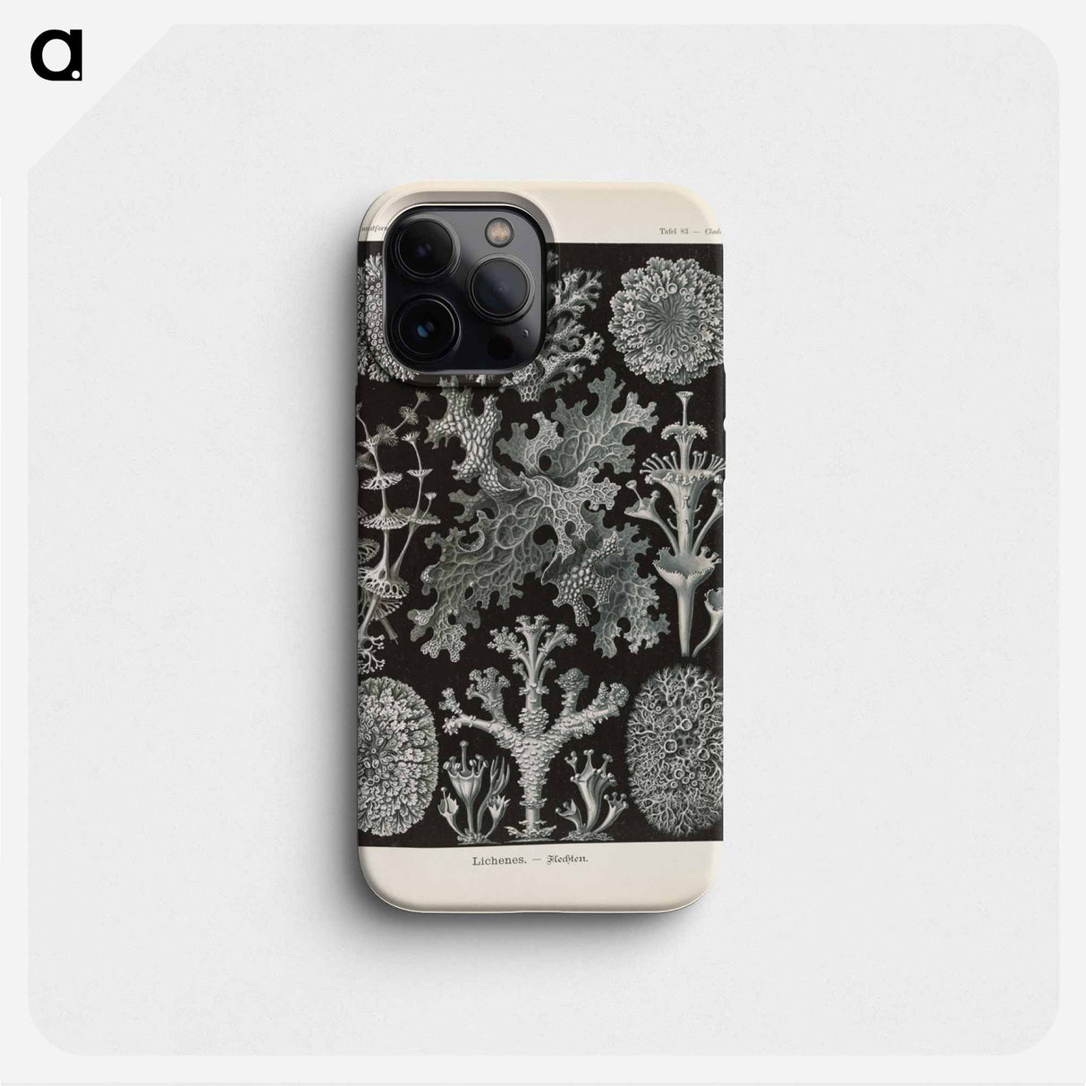Marine life illustration - エルンスト ヘッケル Phone Case.