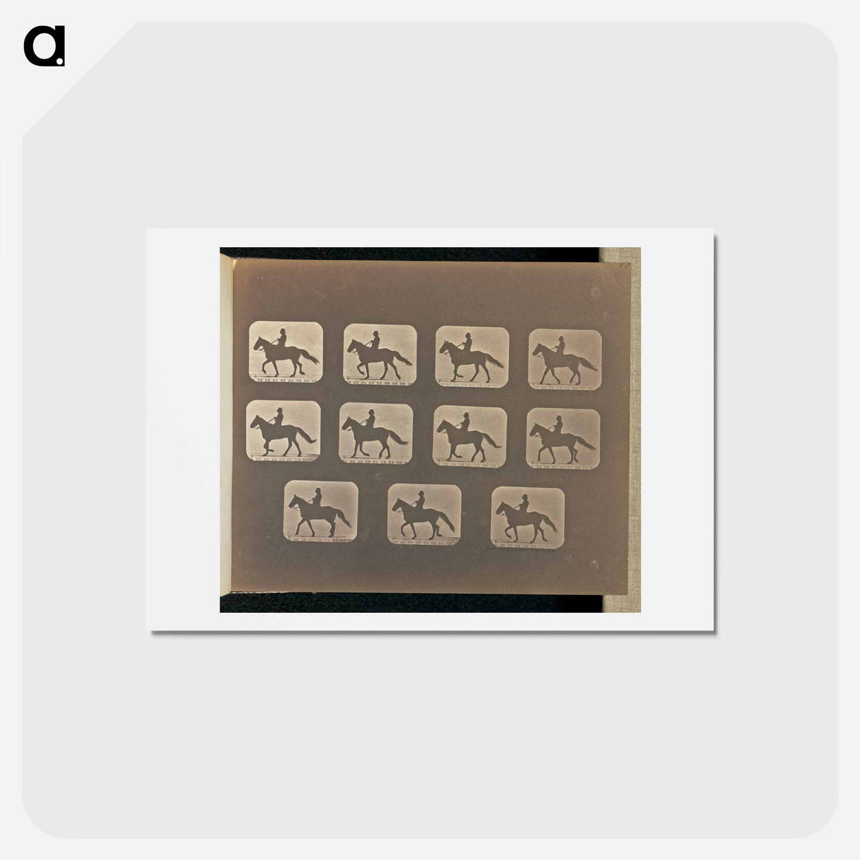 アートポストカード-Walking
- エドワード マイブリッジ Postcard.