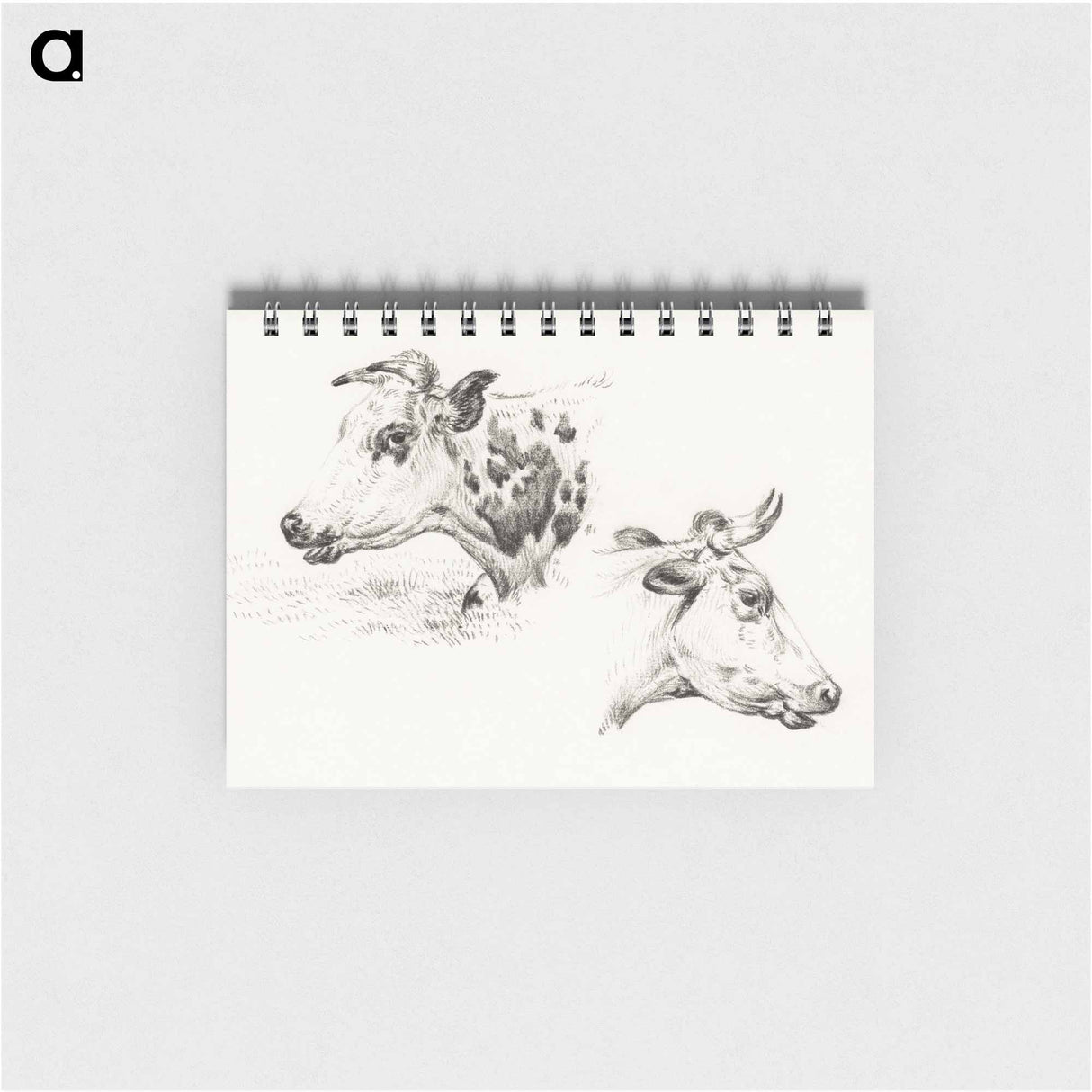 Two studies of the head of a cow - ジャン ベルナール Memo.