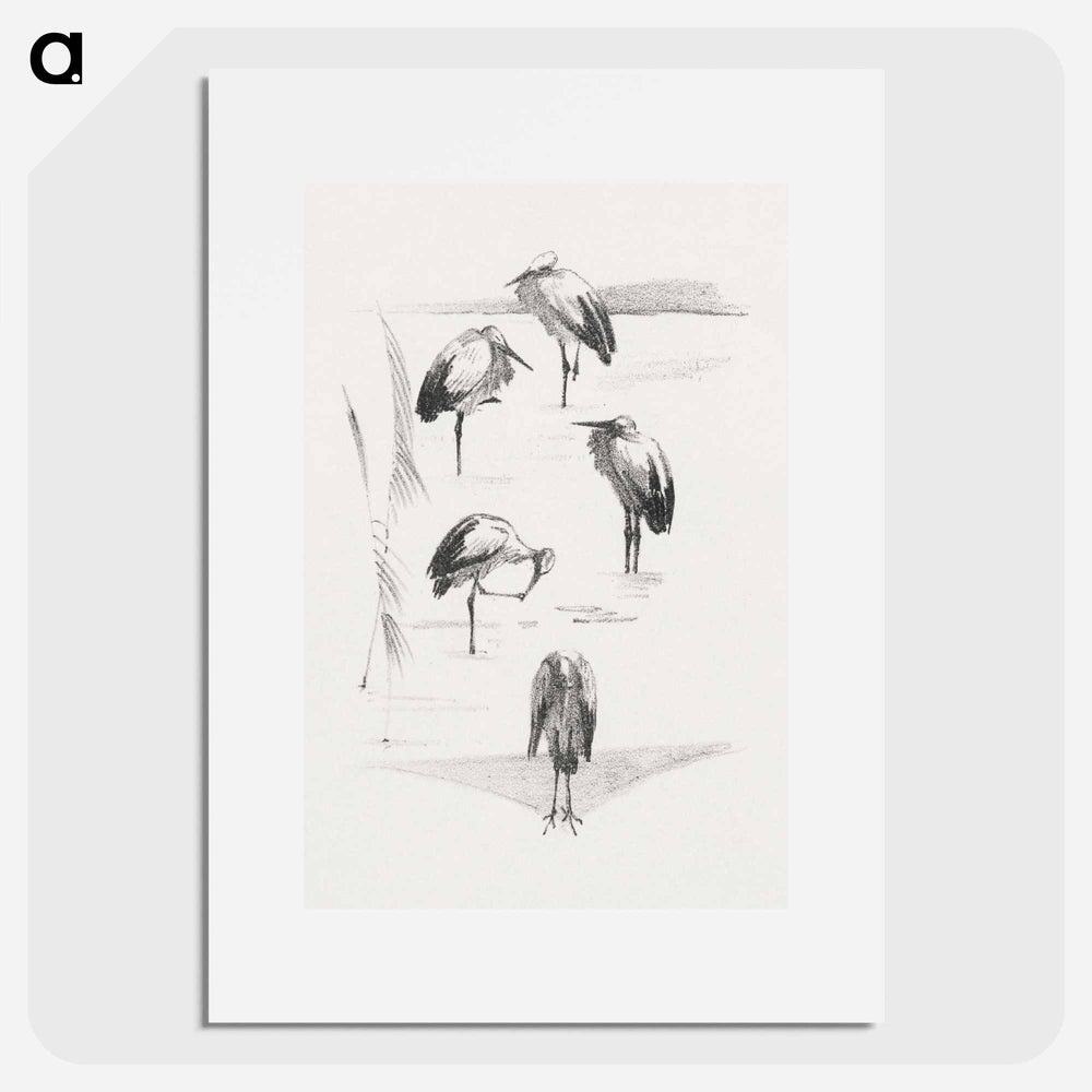 Wenskaart met vijf ooievaars - Theo van Hoytema Poster.