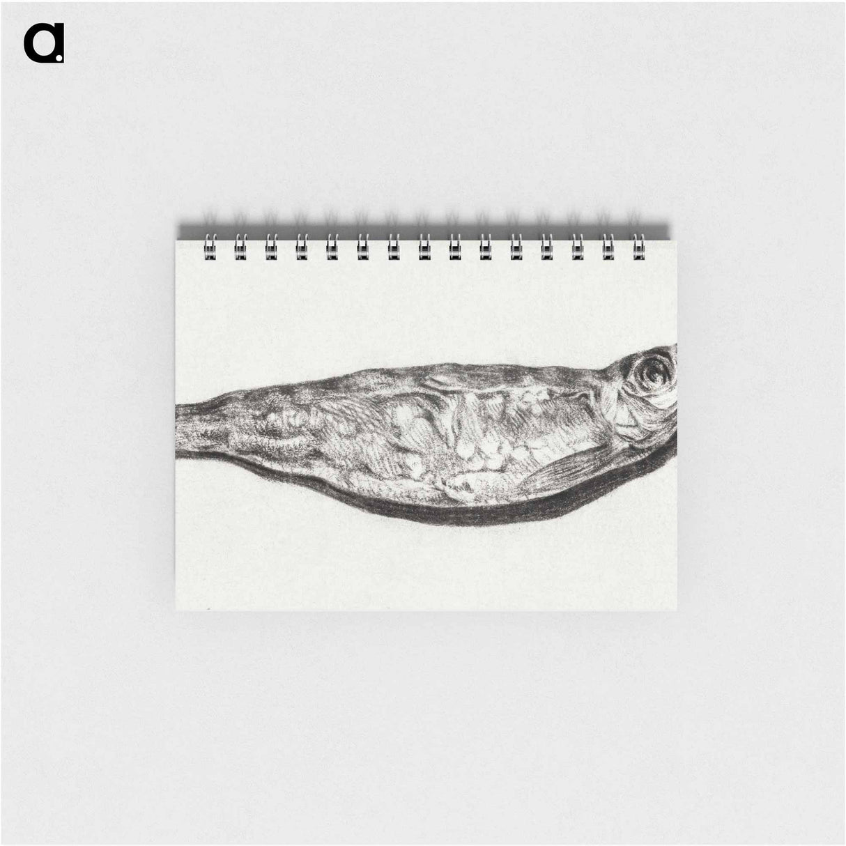 Sprat by candlelight - ジャン ベルナール Memo.