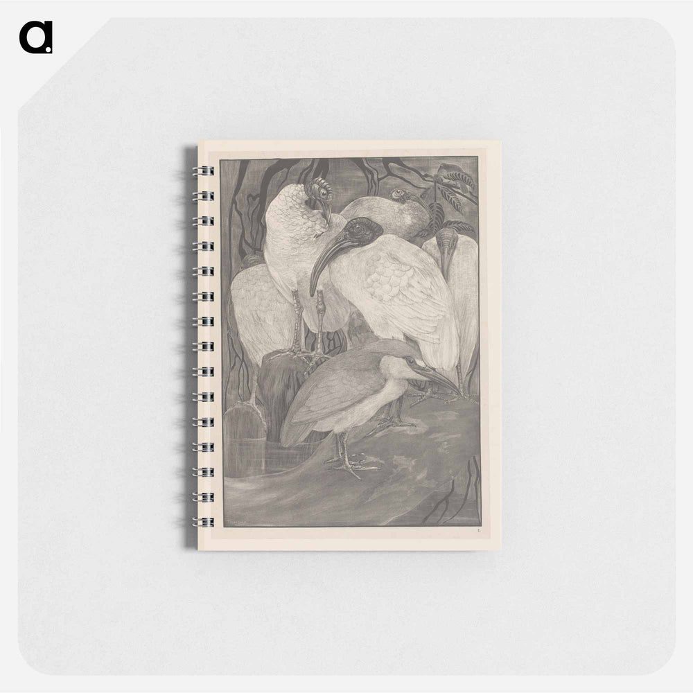 Vijf ibissen en een kwak - テオ ヴァン ホイテマ Memo.