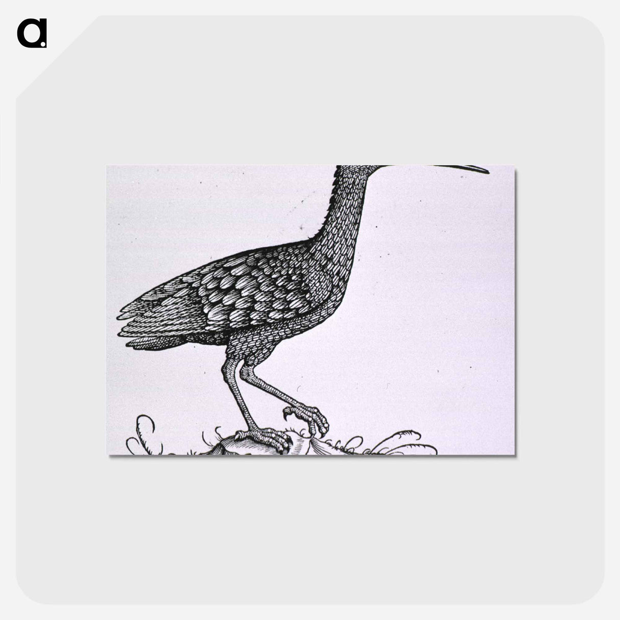 アートポストカード-Birds from Natural History
- 国立医学図書館 Postcard.