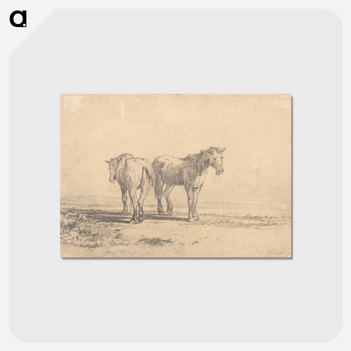 アートポストカード-Two Old Horses Standing in a Field
- イェール大学アートギャラリー Postcard.