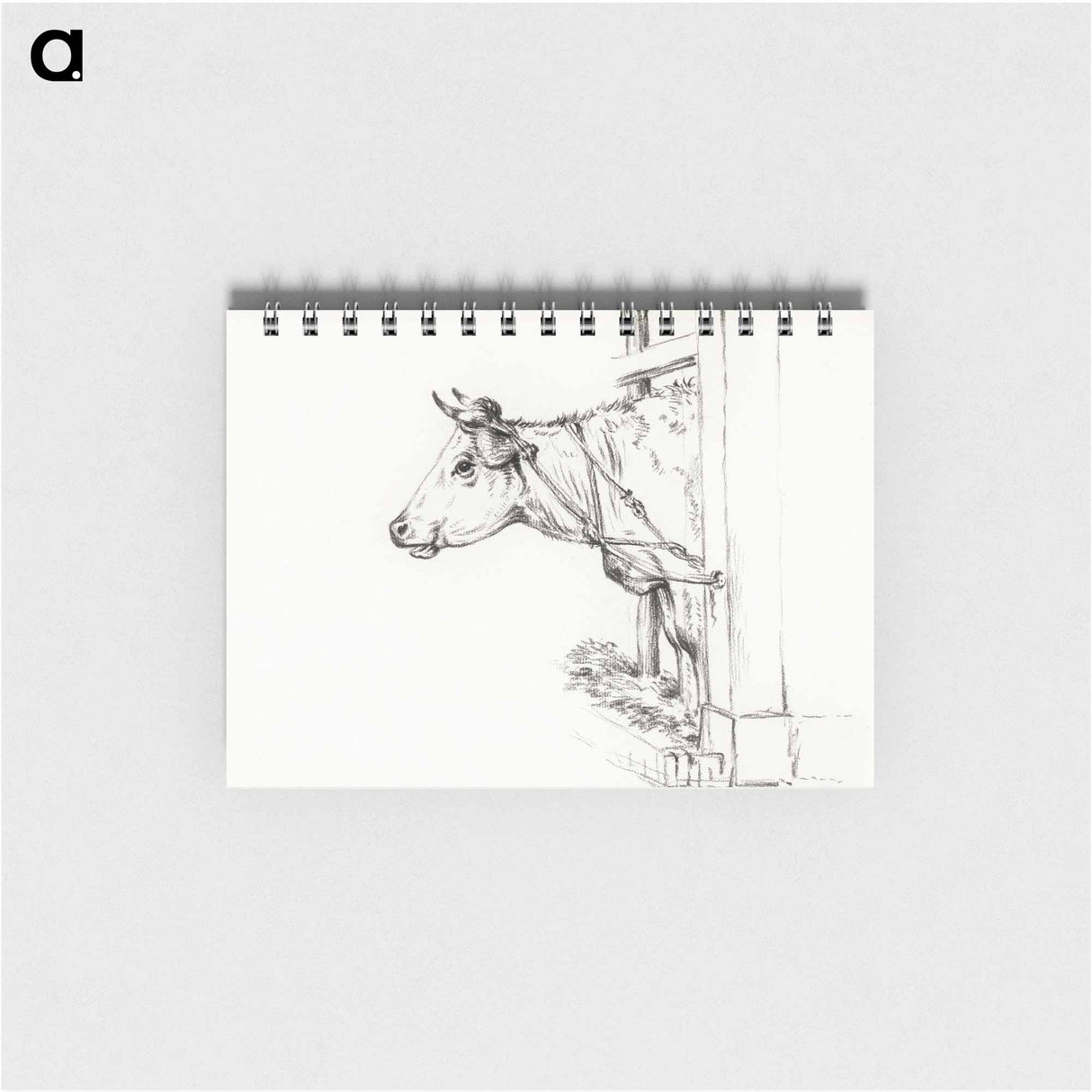 Head of a cow, to the left - ジャン ベルナール Memo.