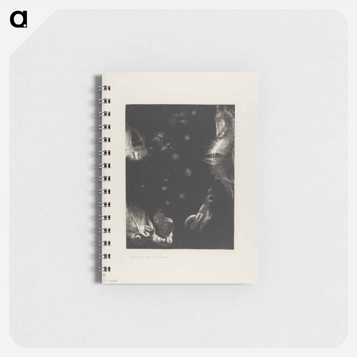 Different Peoples Inhabit the Countries of the Ocean, plate 23 of 24 - オディロン ルドン Memo.