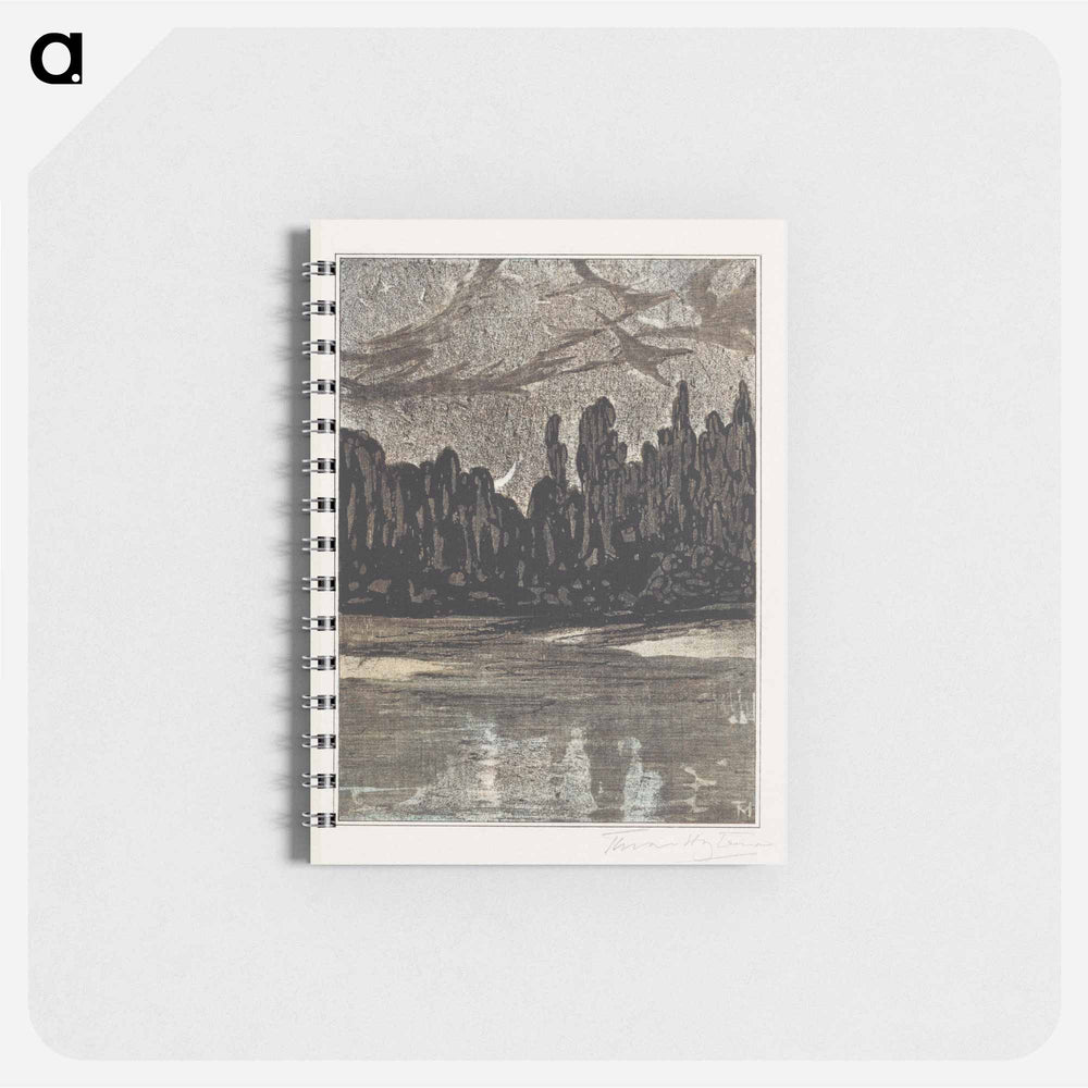 Nachtelijk landschap met trekvogels - テオ ヴァン ホイテマ Memo.