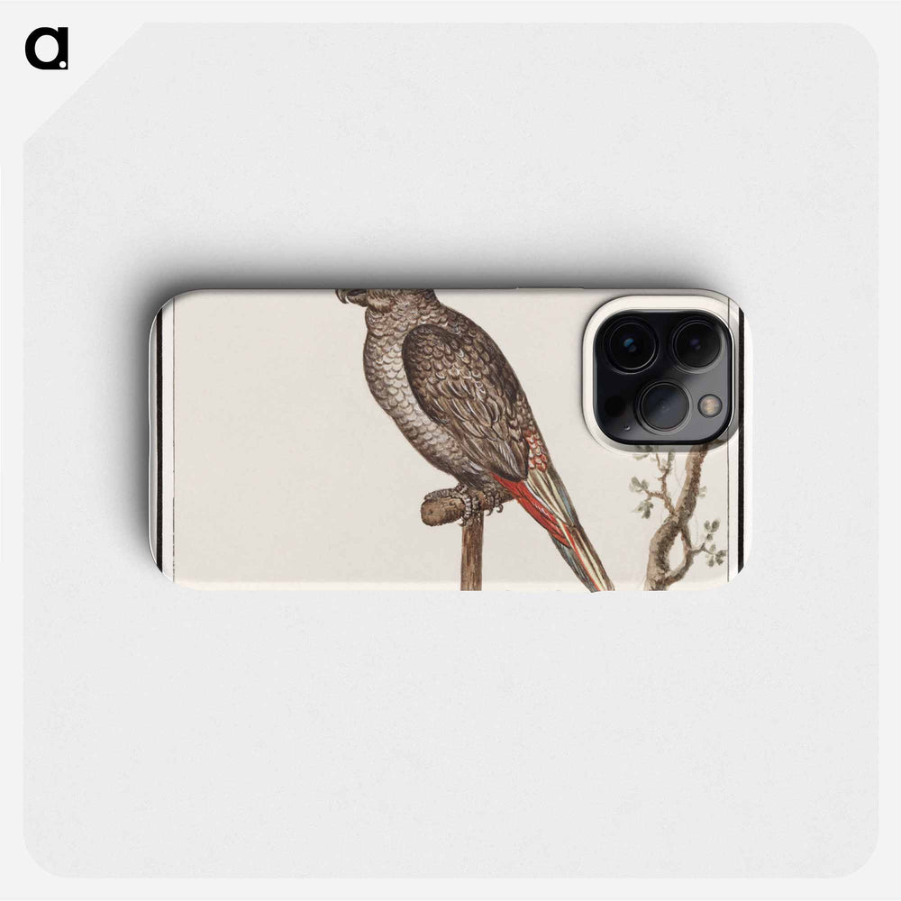 Parrot - アンセルムス ボエティウス デ ブート Phone Case.