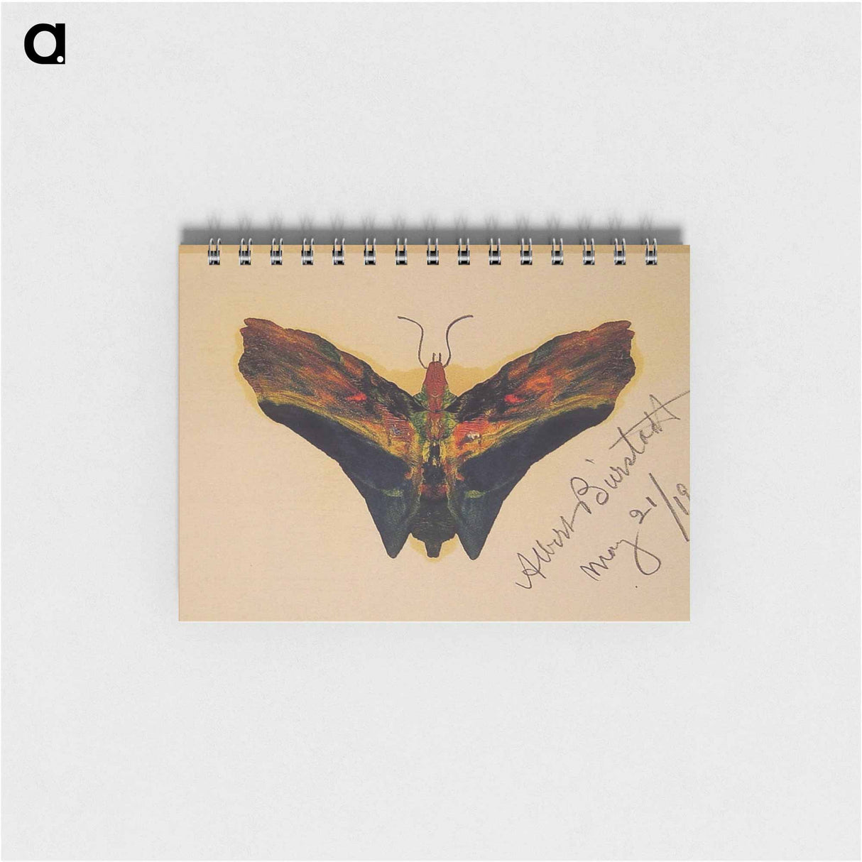 アートメモ帳-Butterfly (second version) - アルバート ビアスタット Memo.