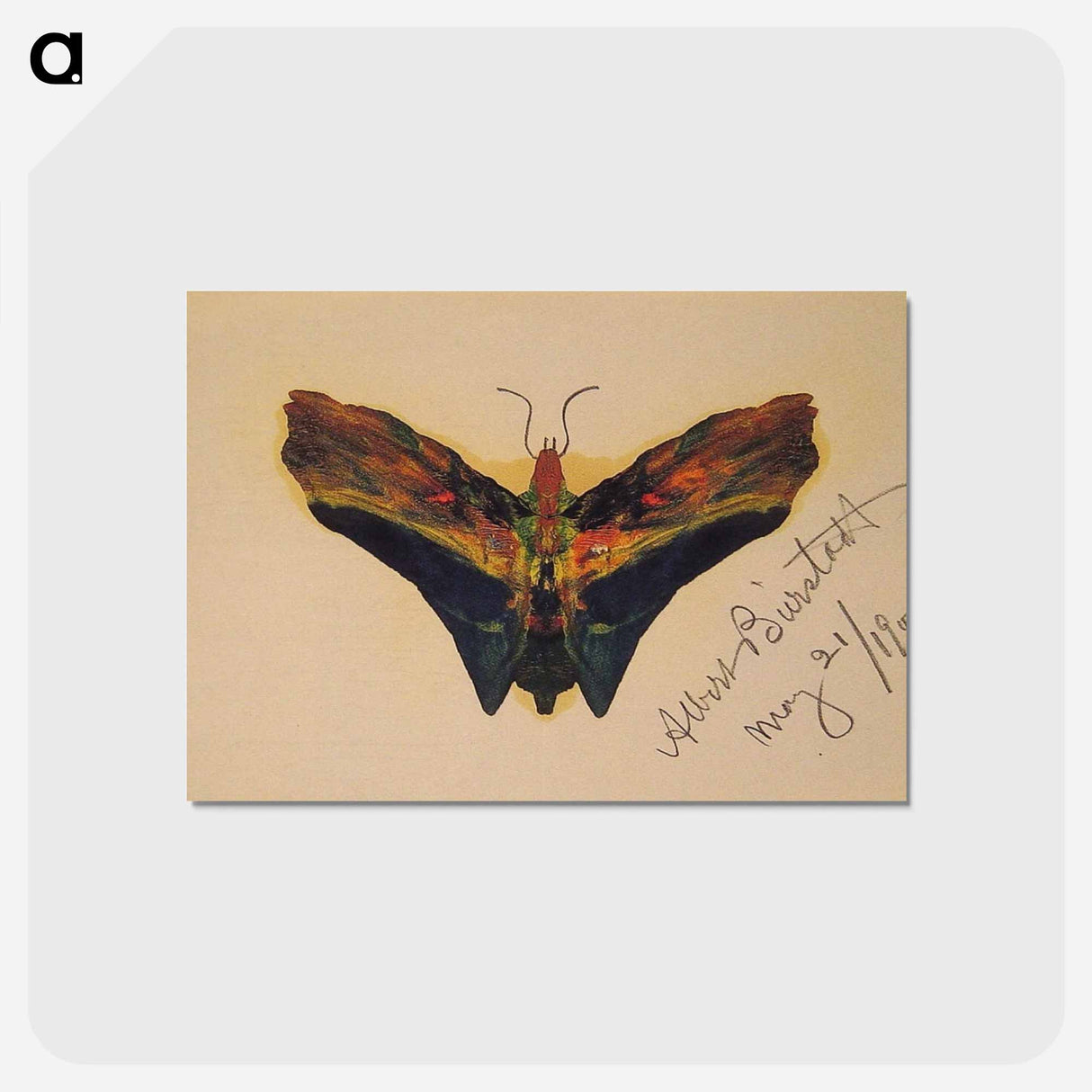 アートポストカード-Butterfly (second version) - アルバート ビアスタット Postcard.